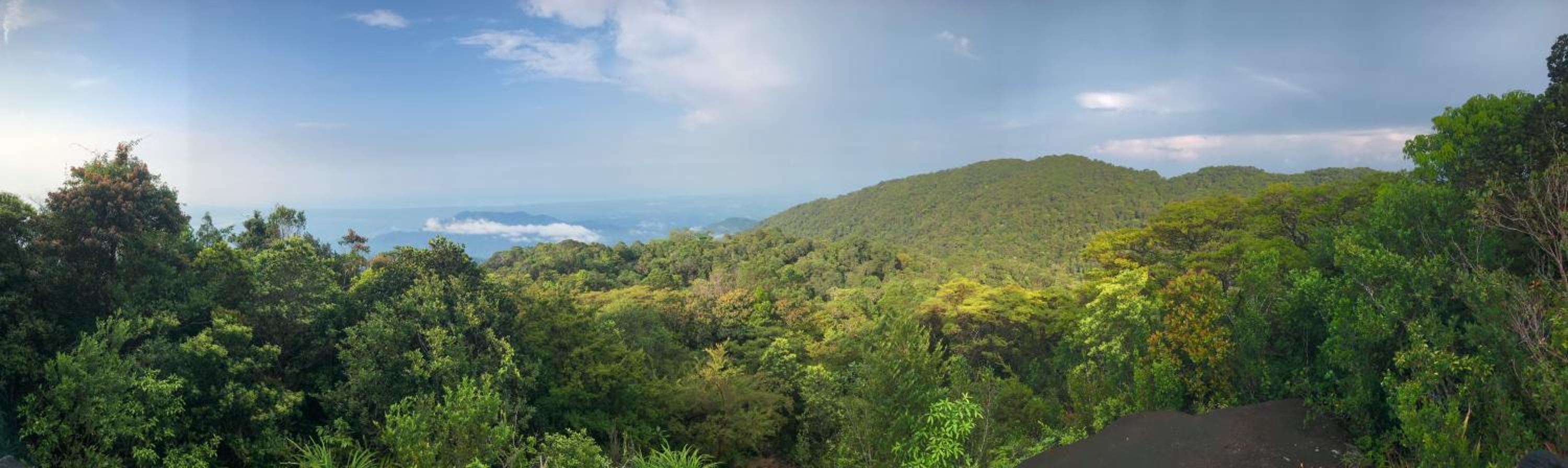 Aura Beach homestay Penarik photo 3