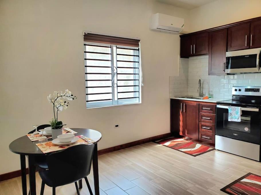 'The Solace' New Luxury Modern 1Bed 1Bath Apt. view 2