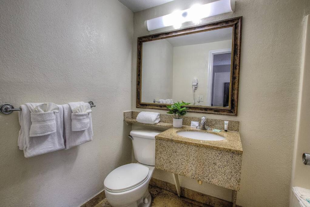 Beachside Studio:2Bed,Dining,Tv*117 view 4