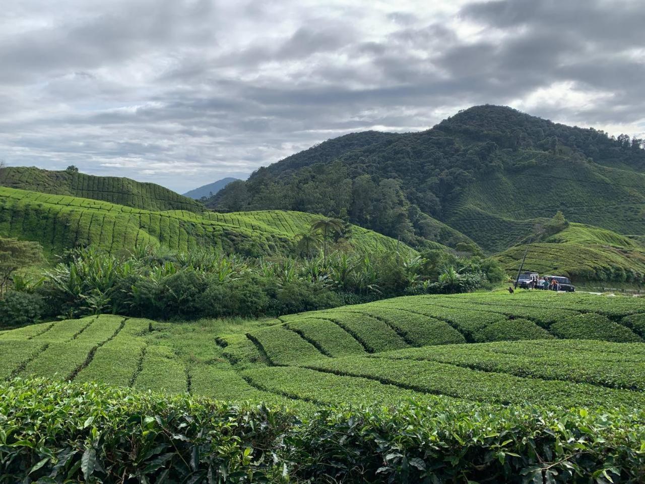 LOVE LODGE BRINCHANG, CAMERON HIGHLANDS photo 2
