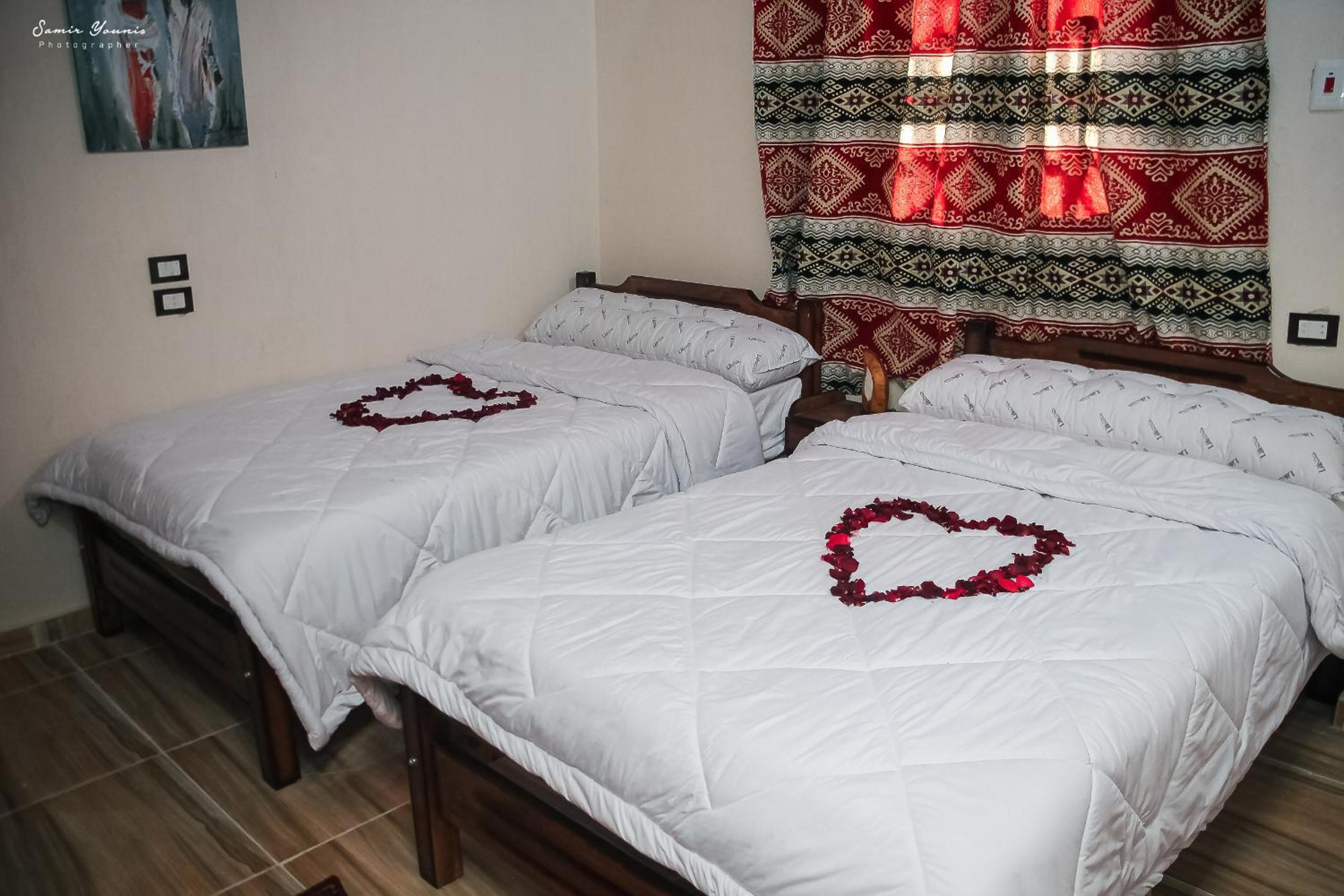 amzran hotel siwa امزران سيوة