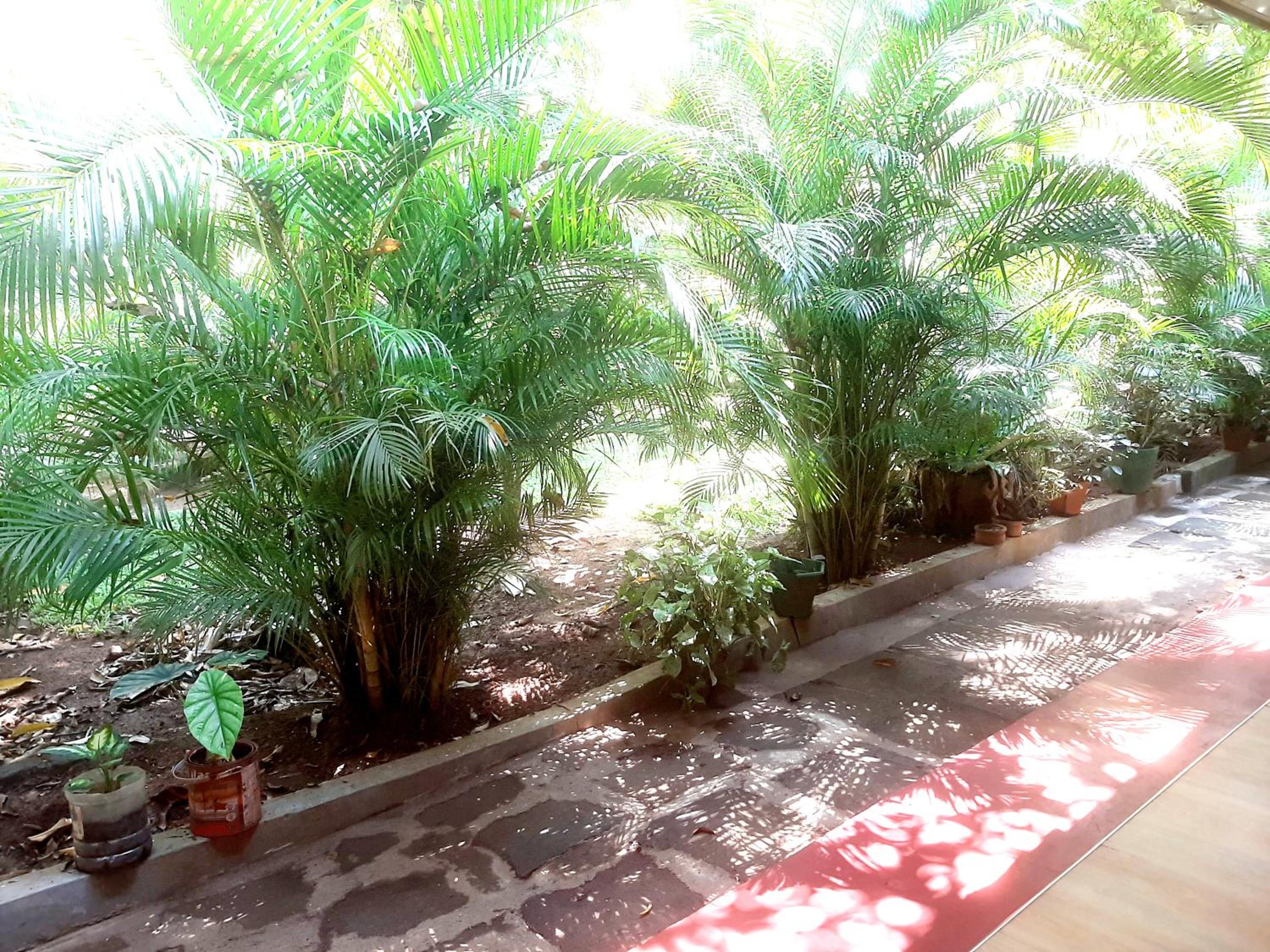 Palitha Homestay