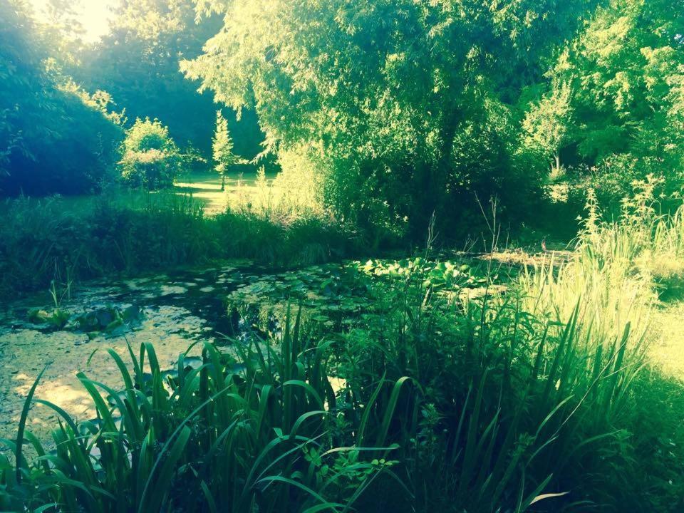 Photo 11