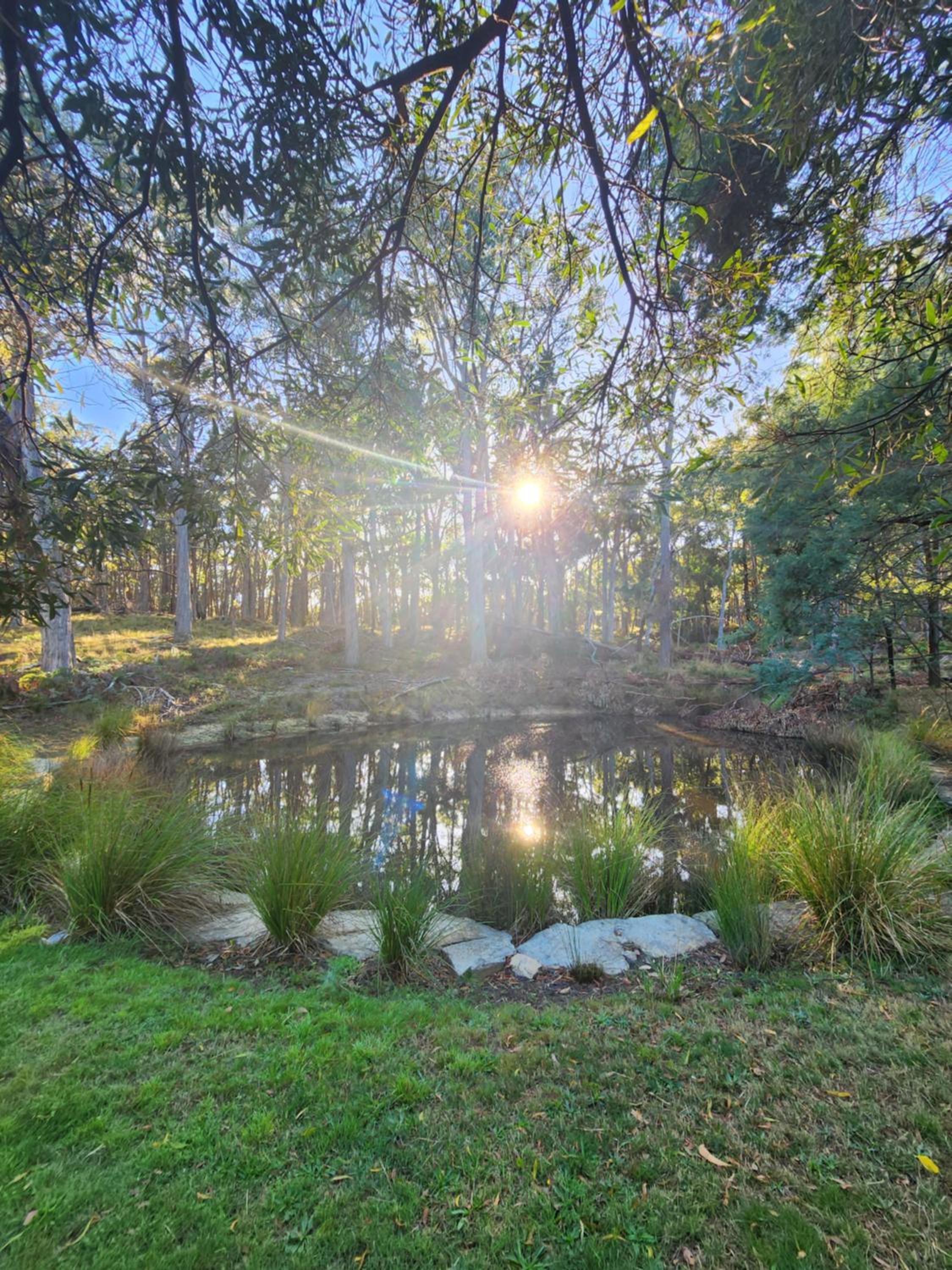 Daylesford - FROG HOLLOW ESTATE - The Homestead