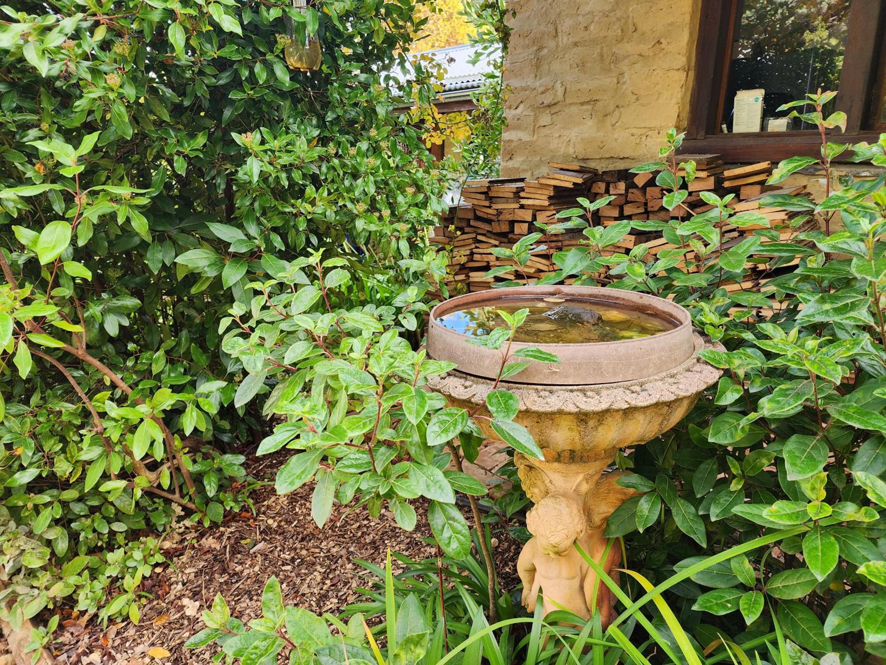 Daylesford - FROG HOLLOW ESTATE - The Homestead