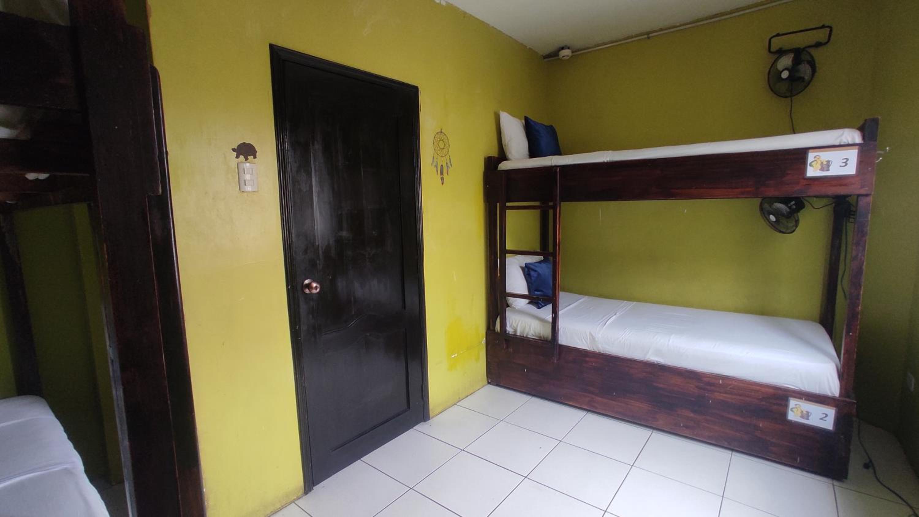 Dreamkapture Hostel close to the airport and bus terminal