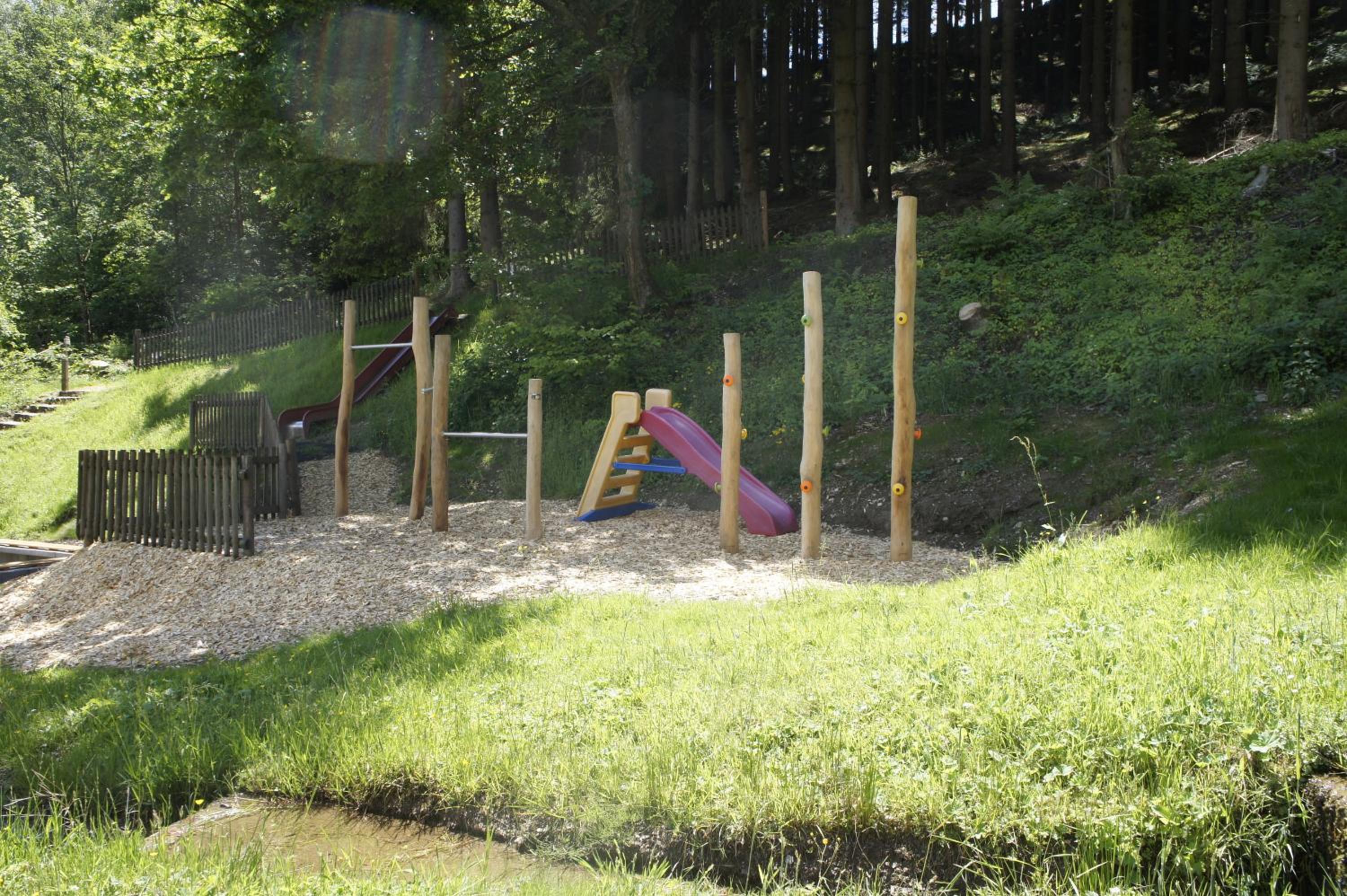Photo 41
