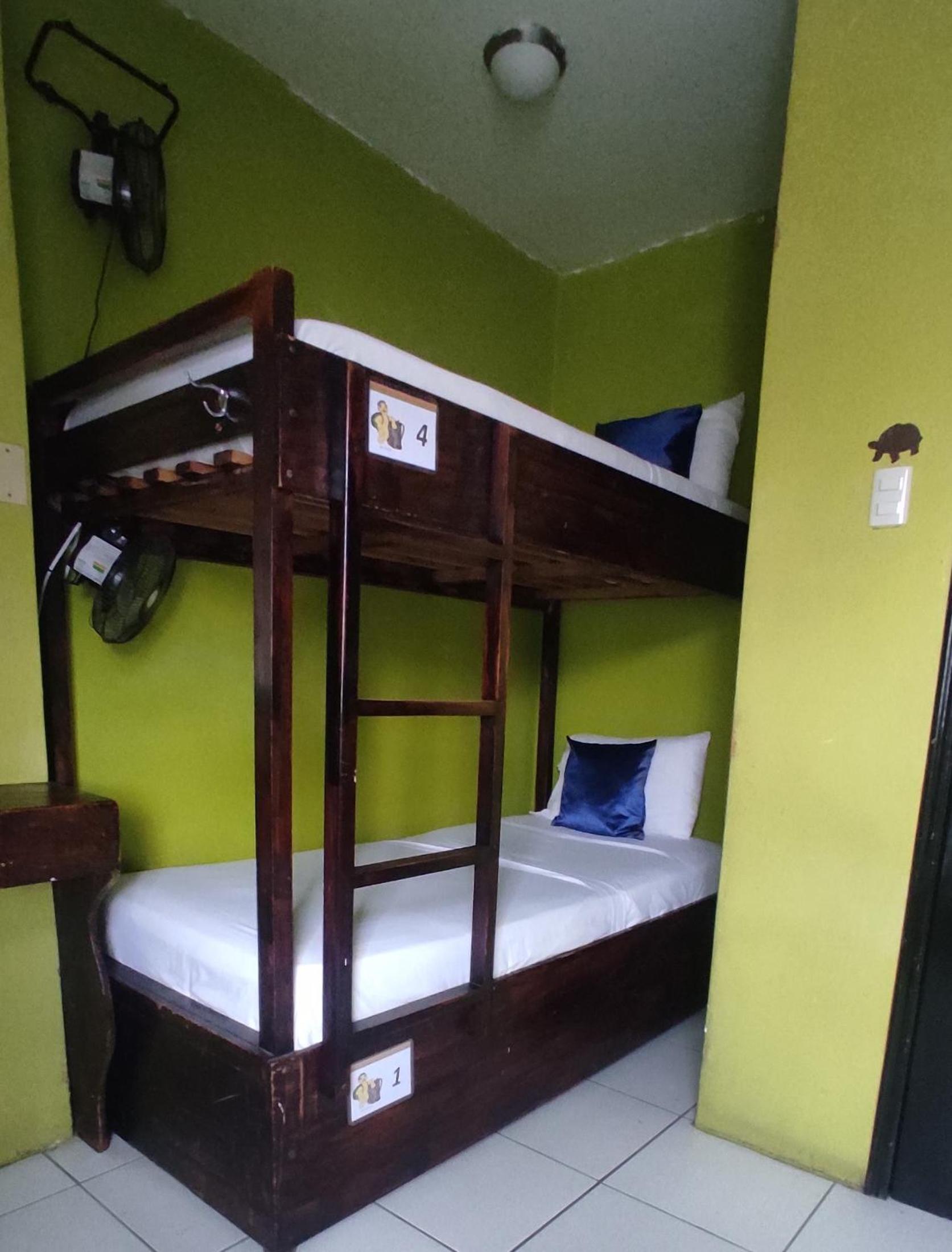 Dreamkapture Hostel close to the airport and bus terminal