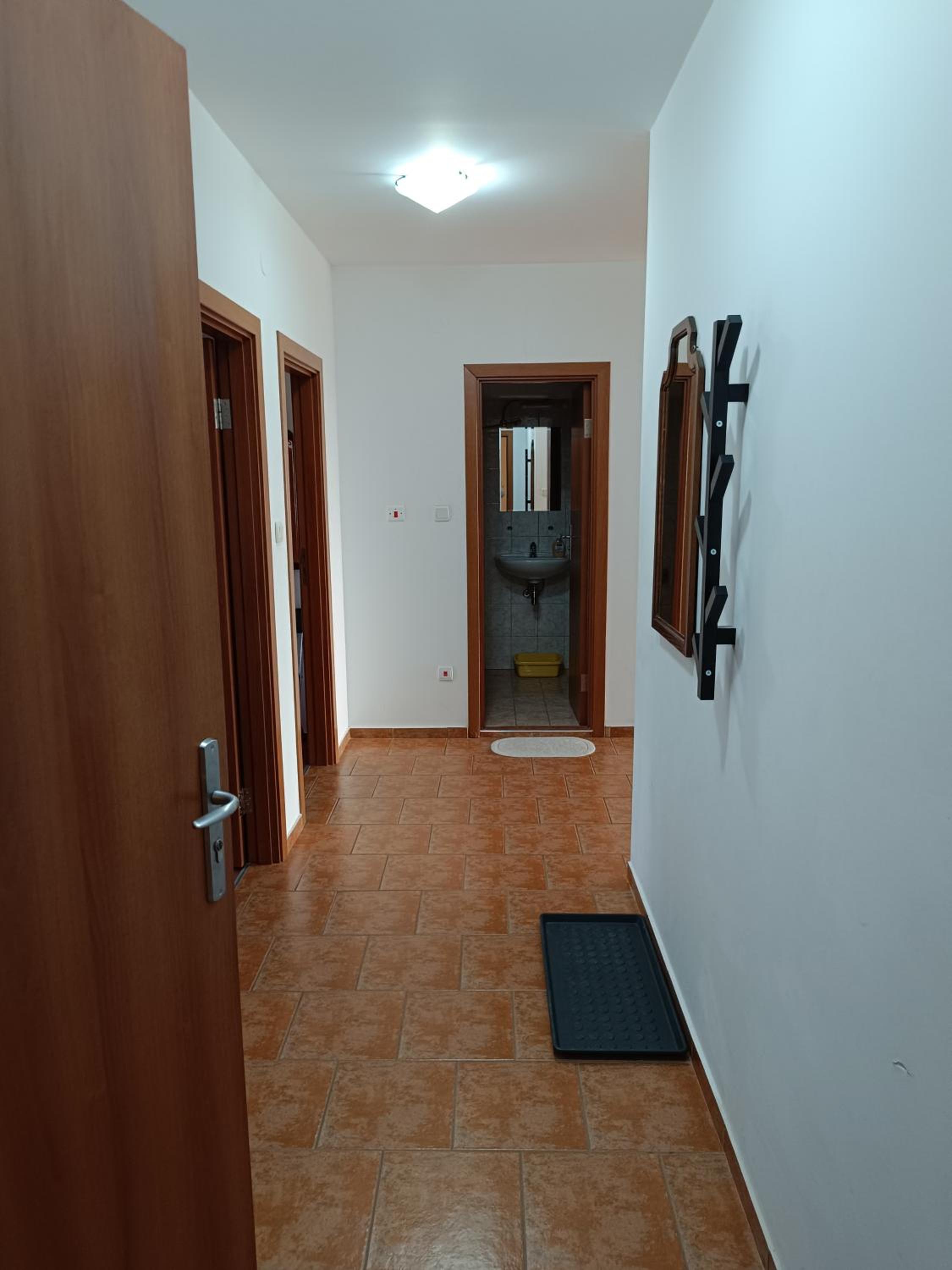 Photo 50