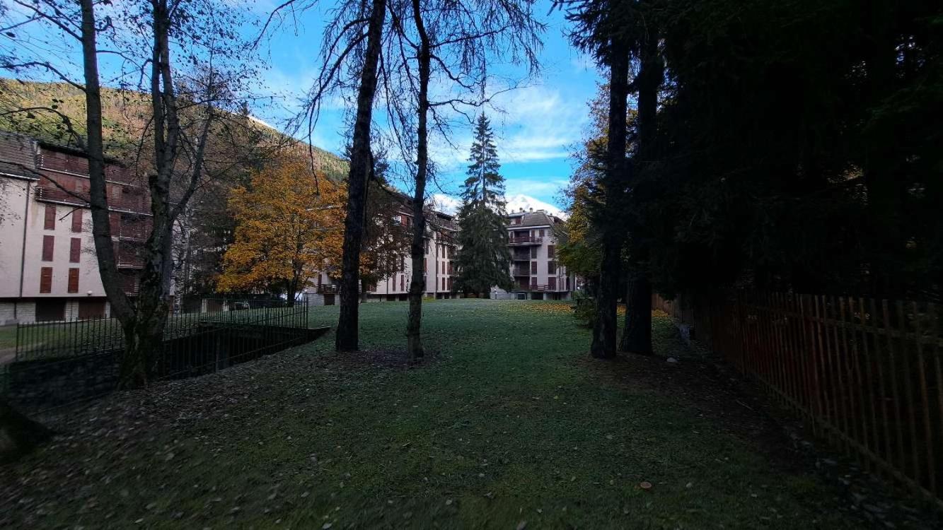 Photo 45