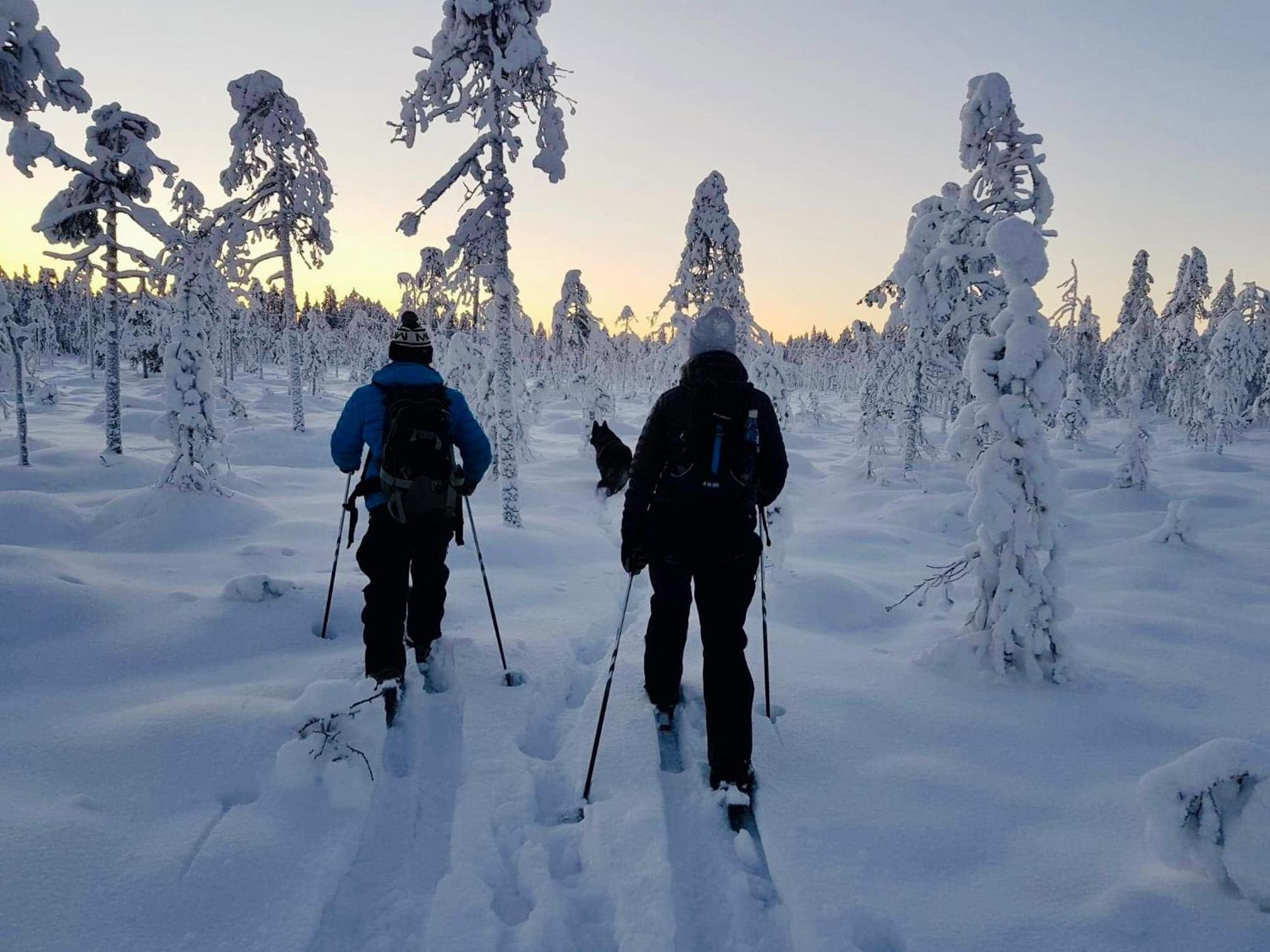 Arcticmint