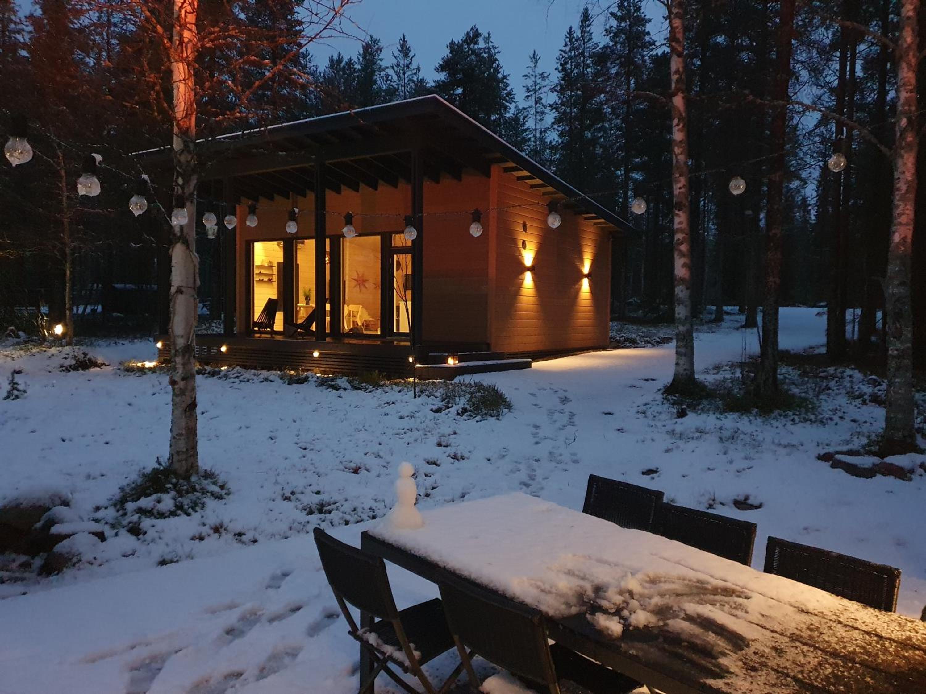 Scandinavian lakeside cottage