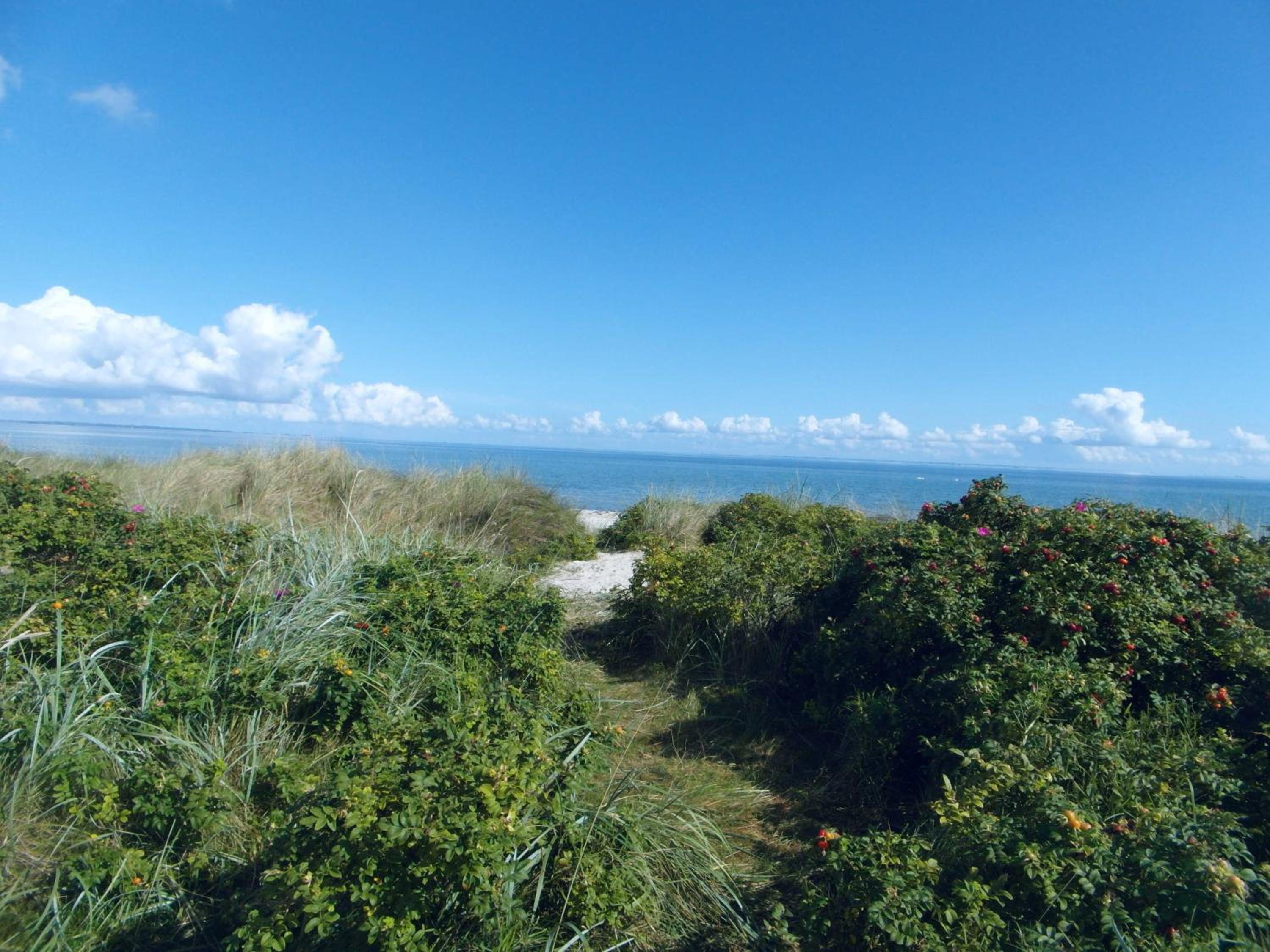Ferienhaus Urlaub am Meer