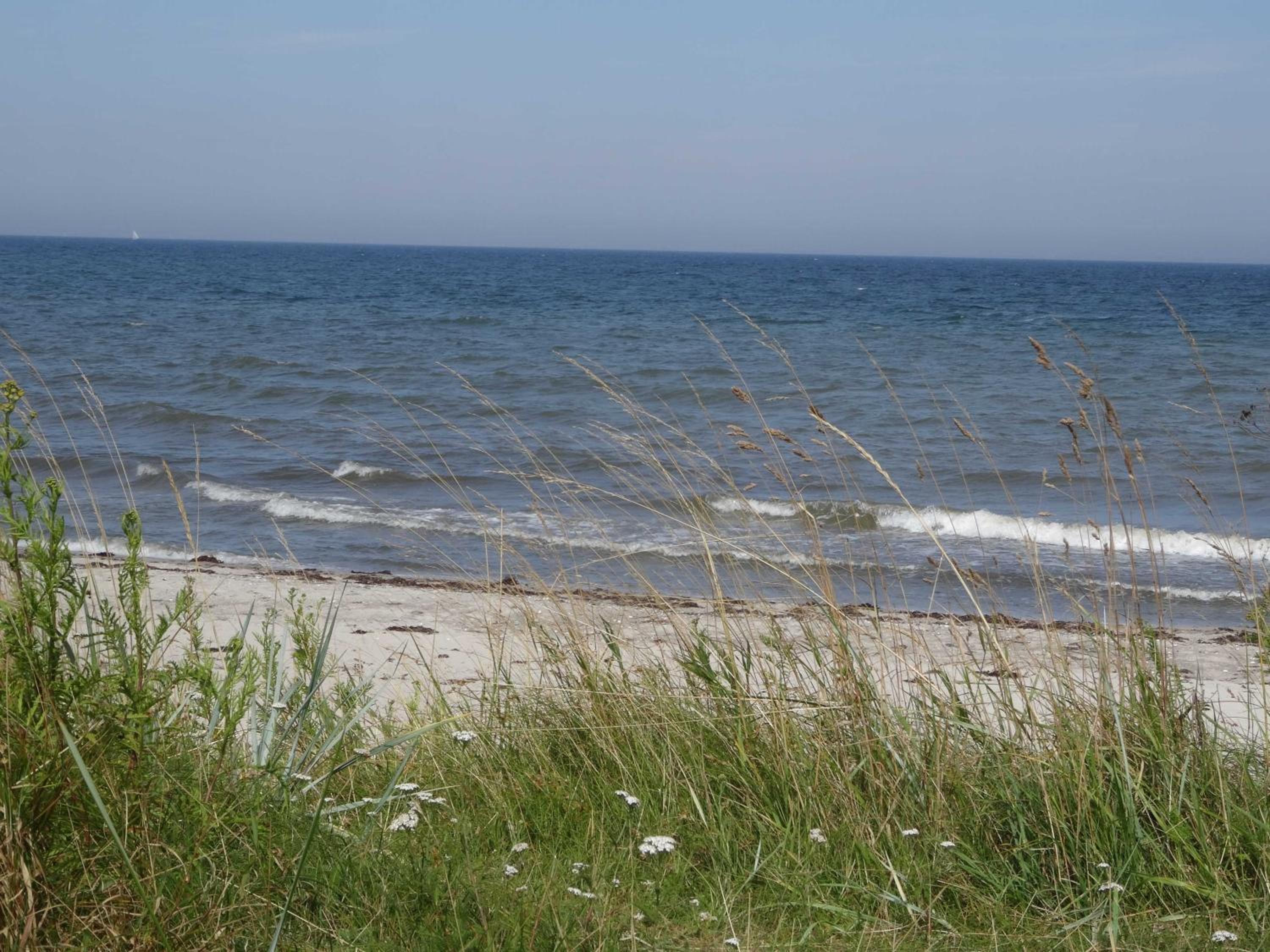 Ferienhaus Urlaub am Meer