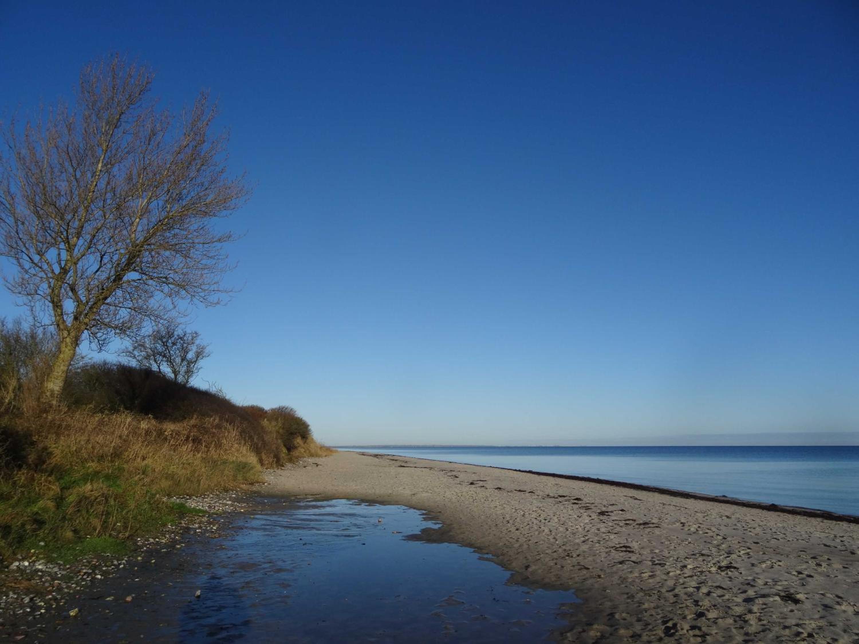 Ferienhaus Urlaub am Meer
