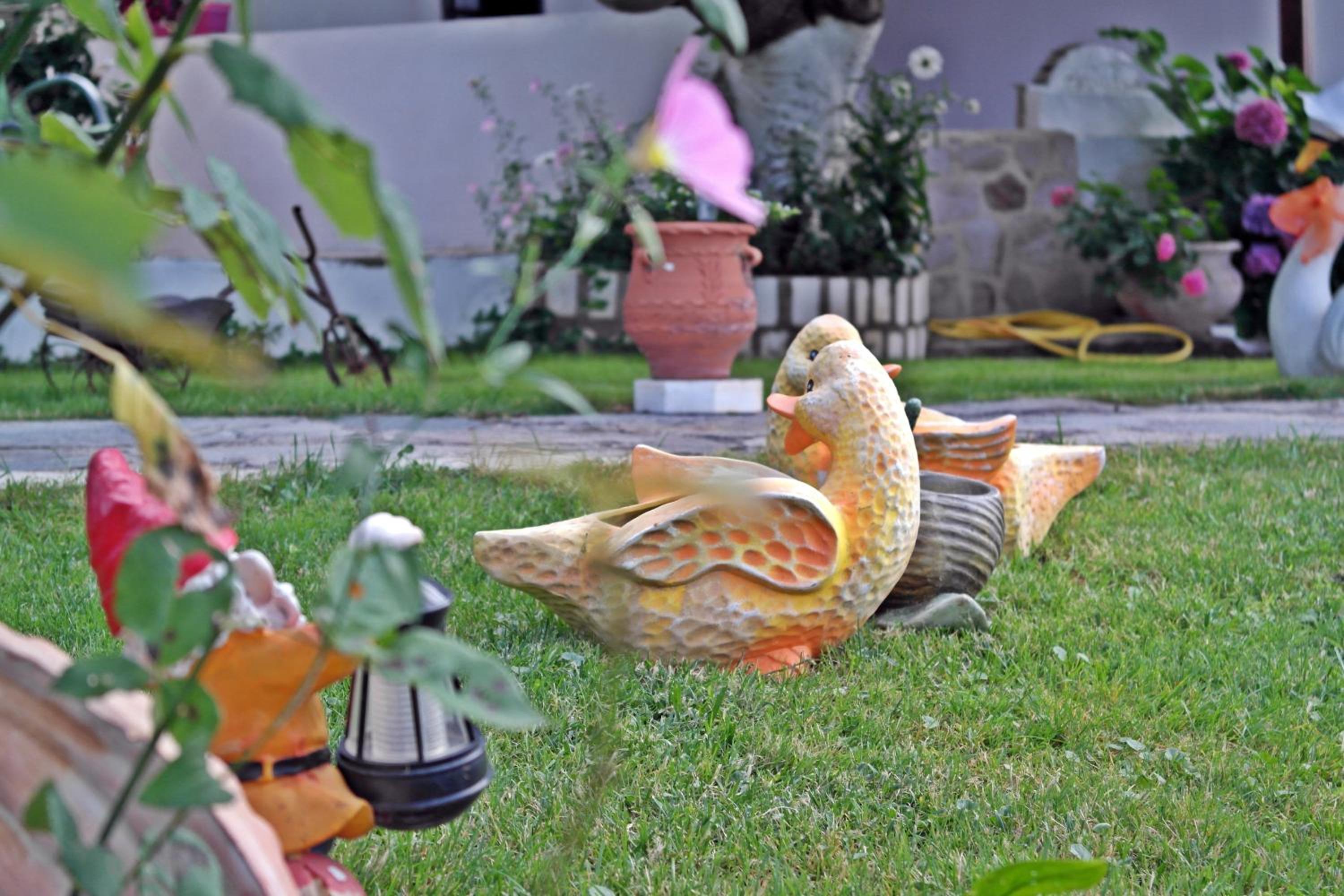 Photo 41