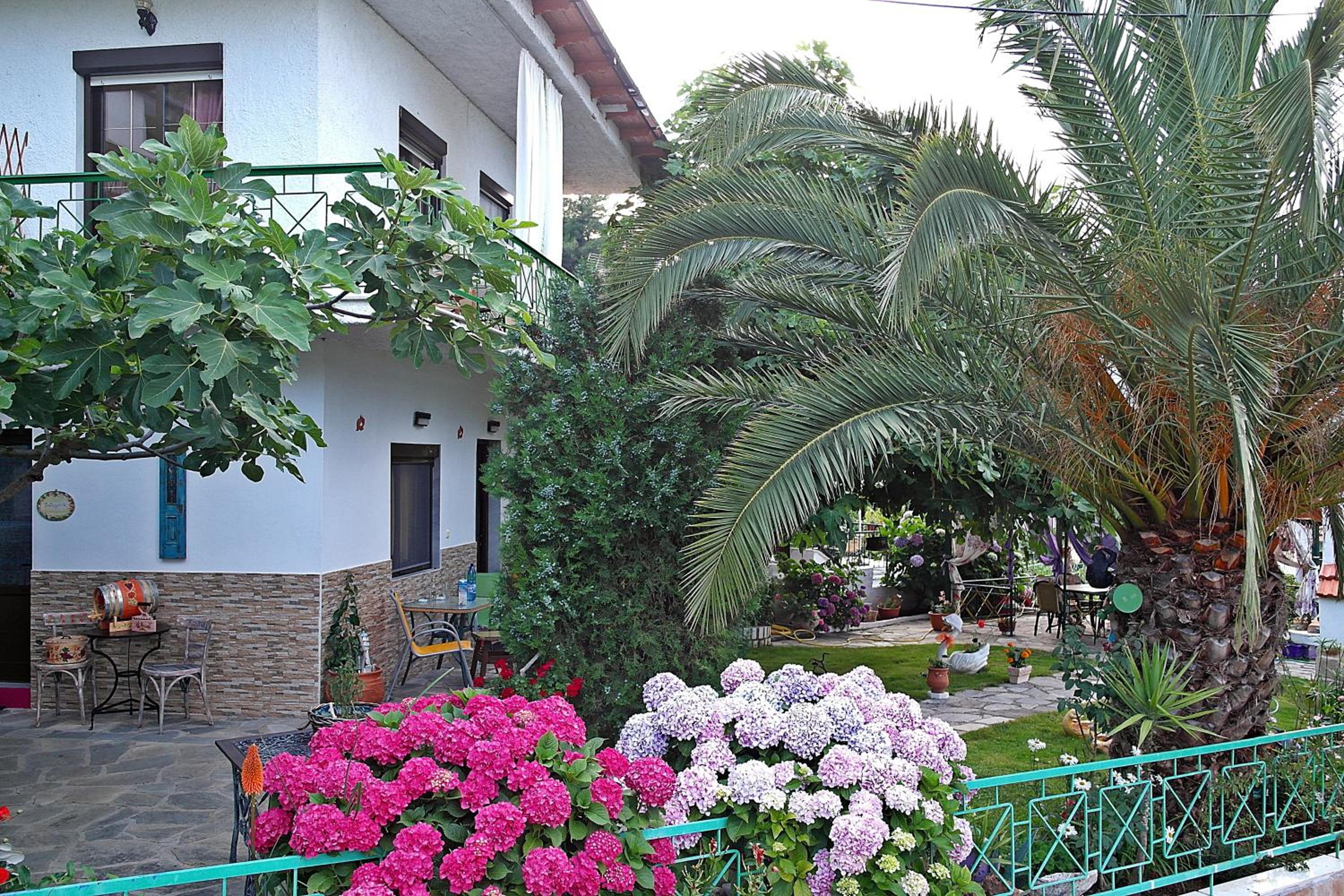 Photo 42