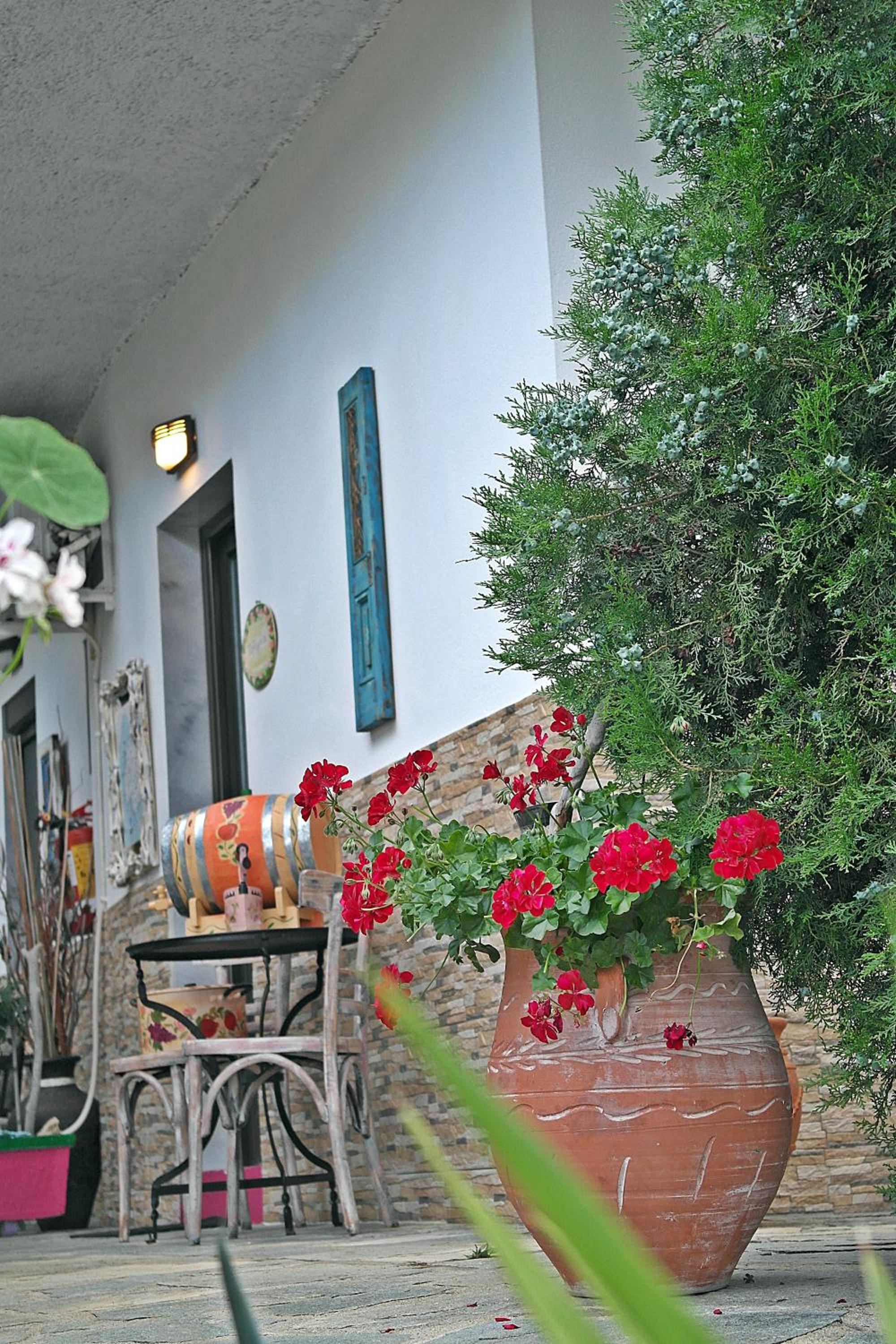 Photo 46