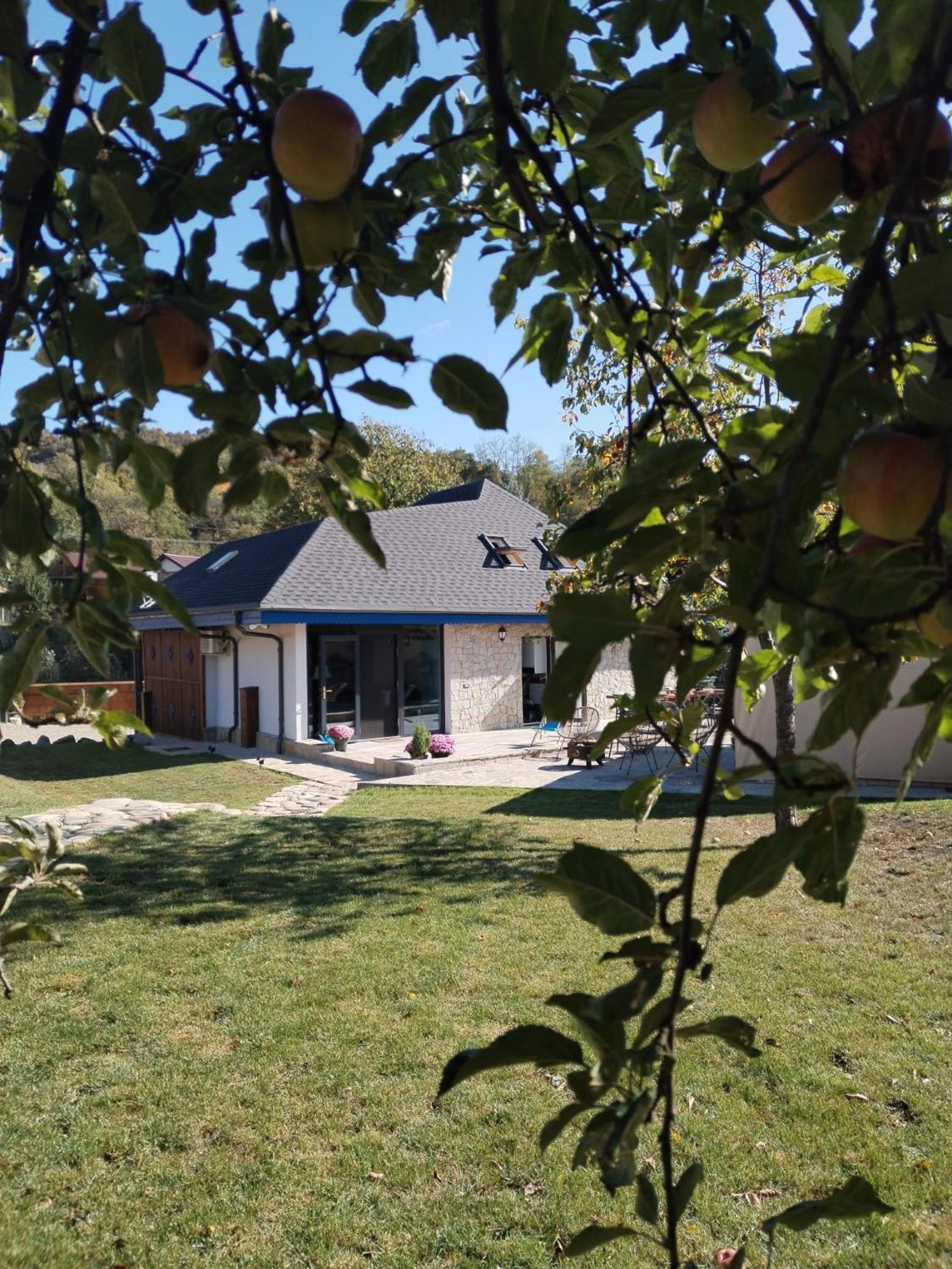 MAGNETIC HOUSE
