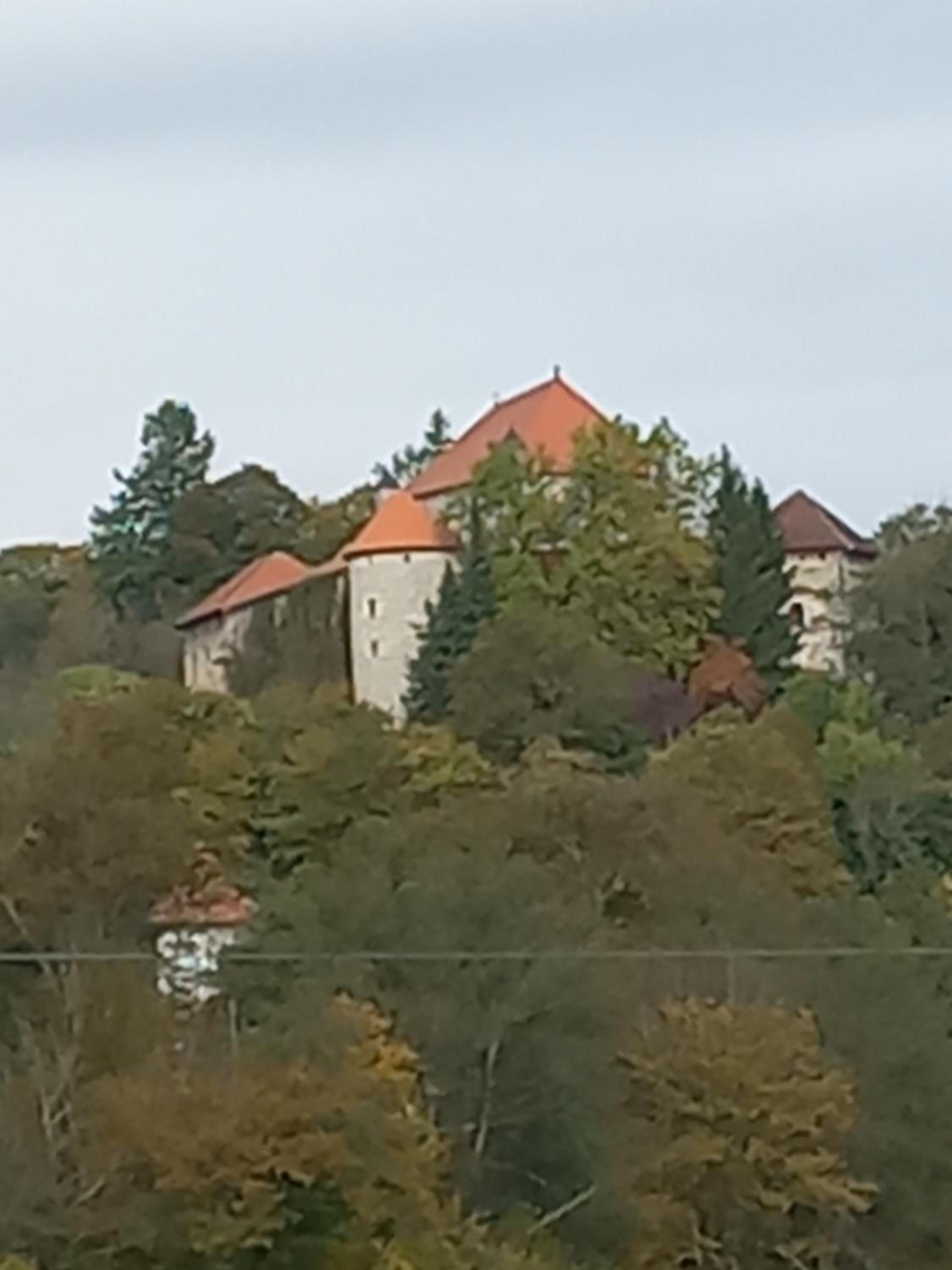 Photo 28