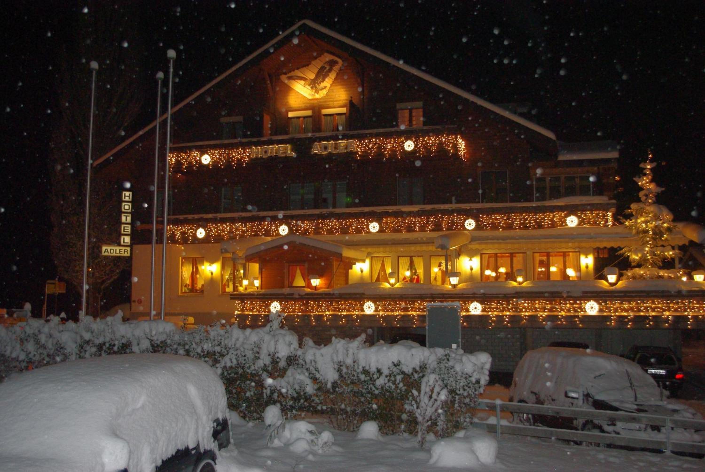 Hotel Adler view 5