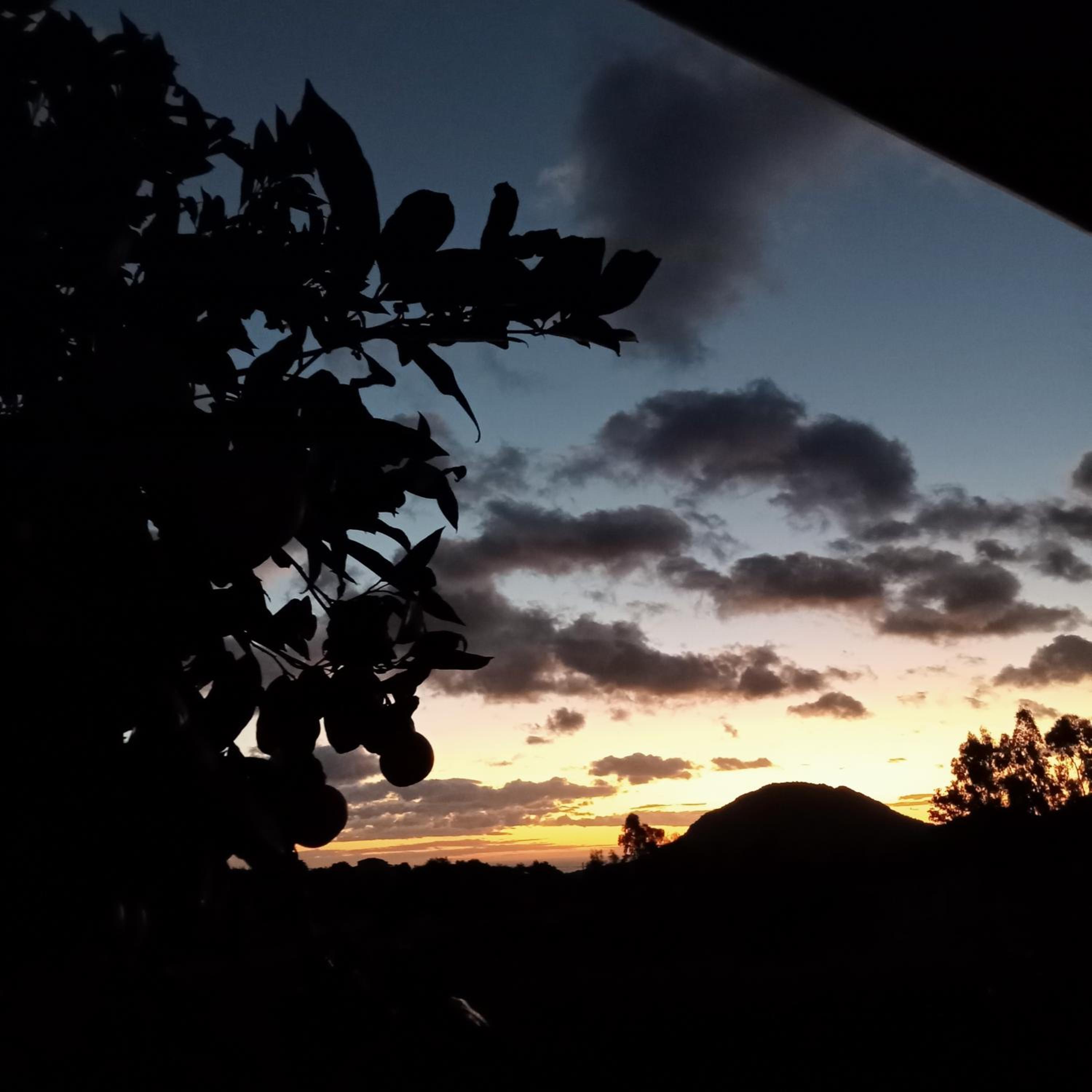 Civico36 view 3