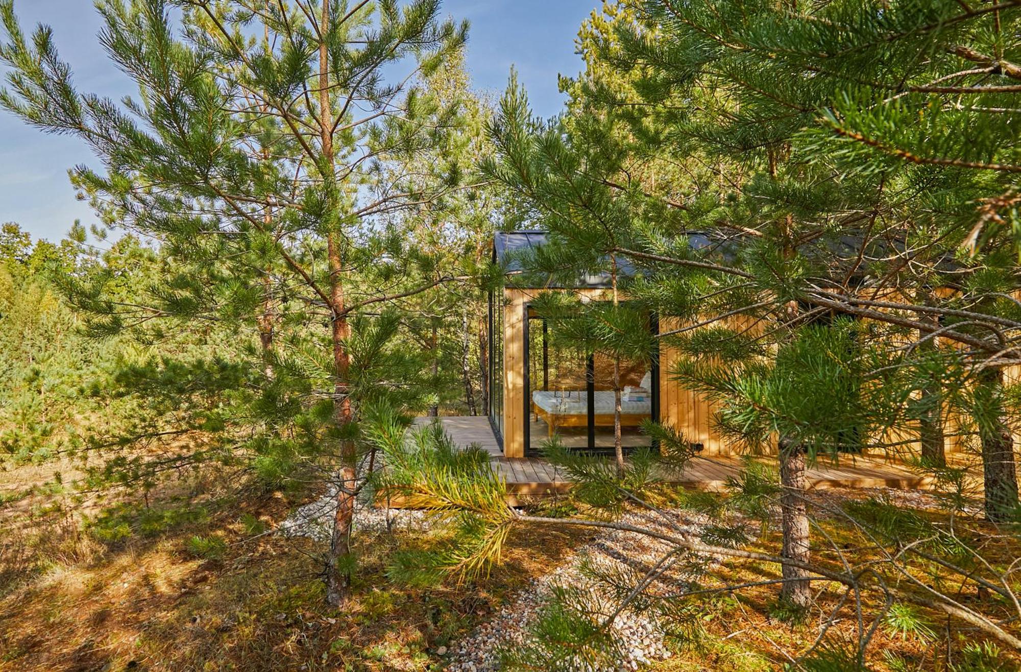 Forestic Lietuva