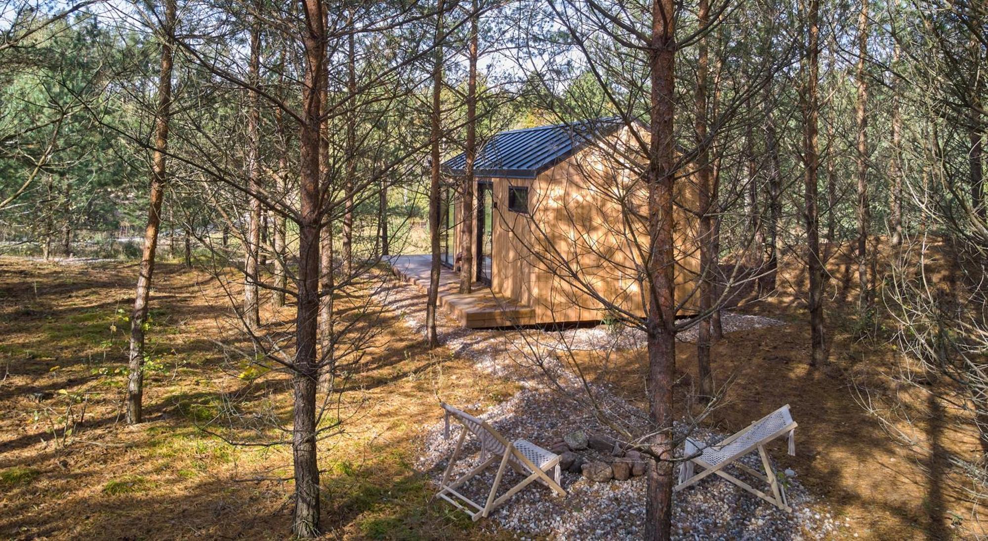 Forestic Lietuva