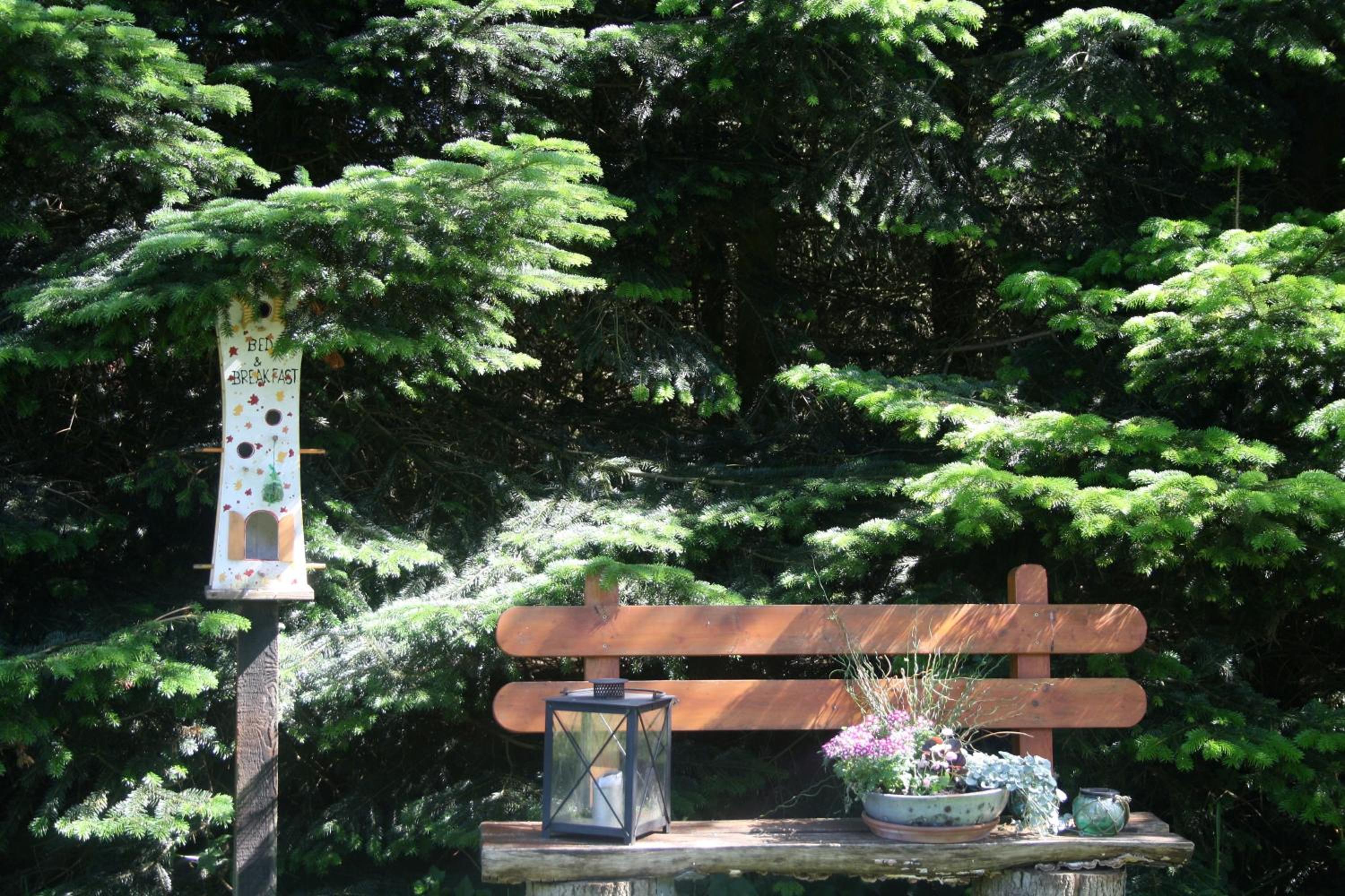 Detjens - FeWo in ruhiger Lage mit Terrasse und Garten view 3
