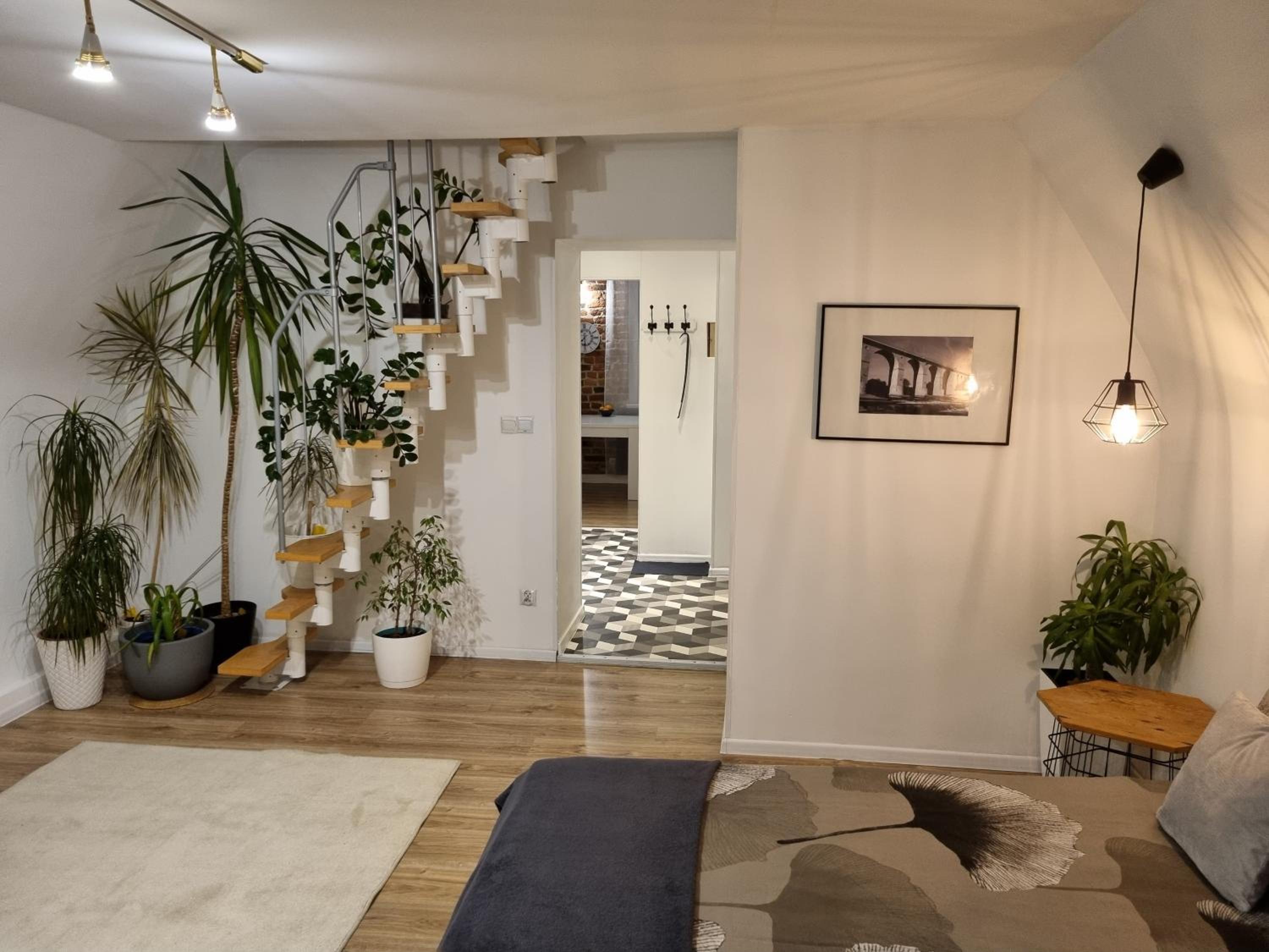 Apartament w Rynku view 5
