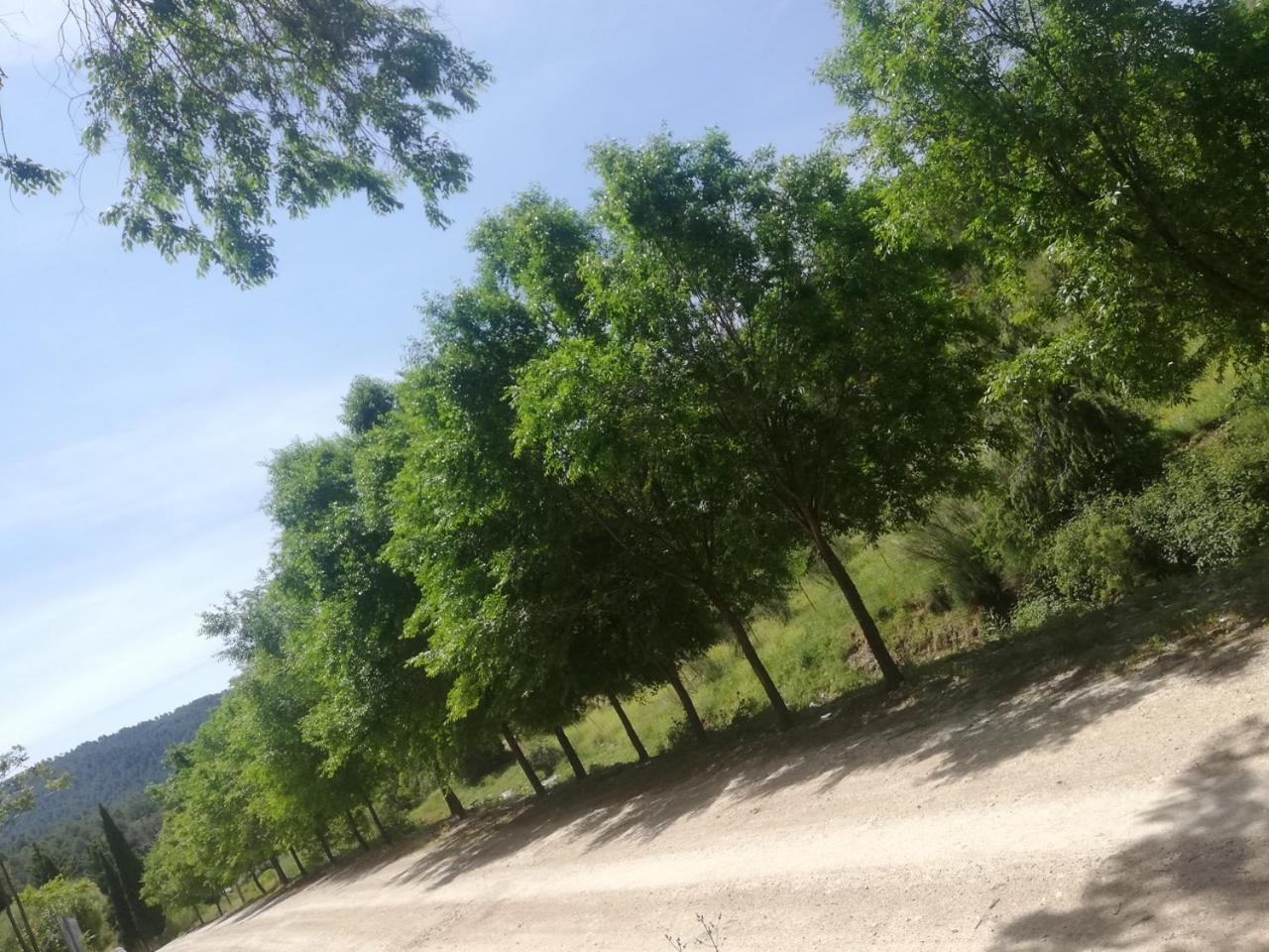 La Noguera Casa Rural