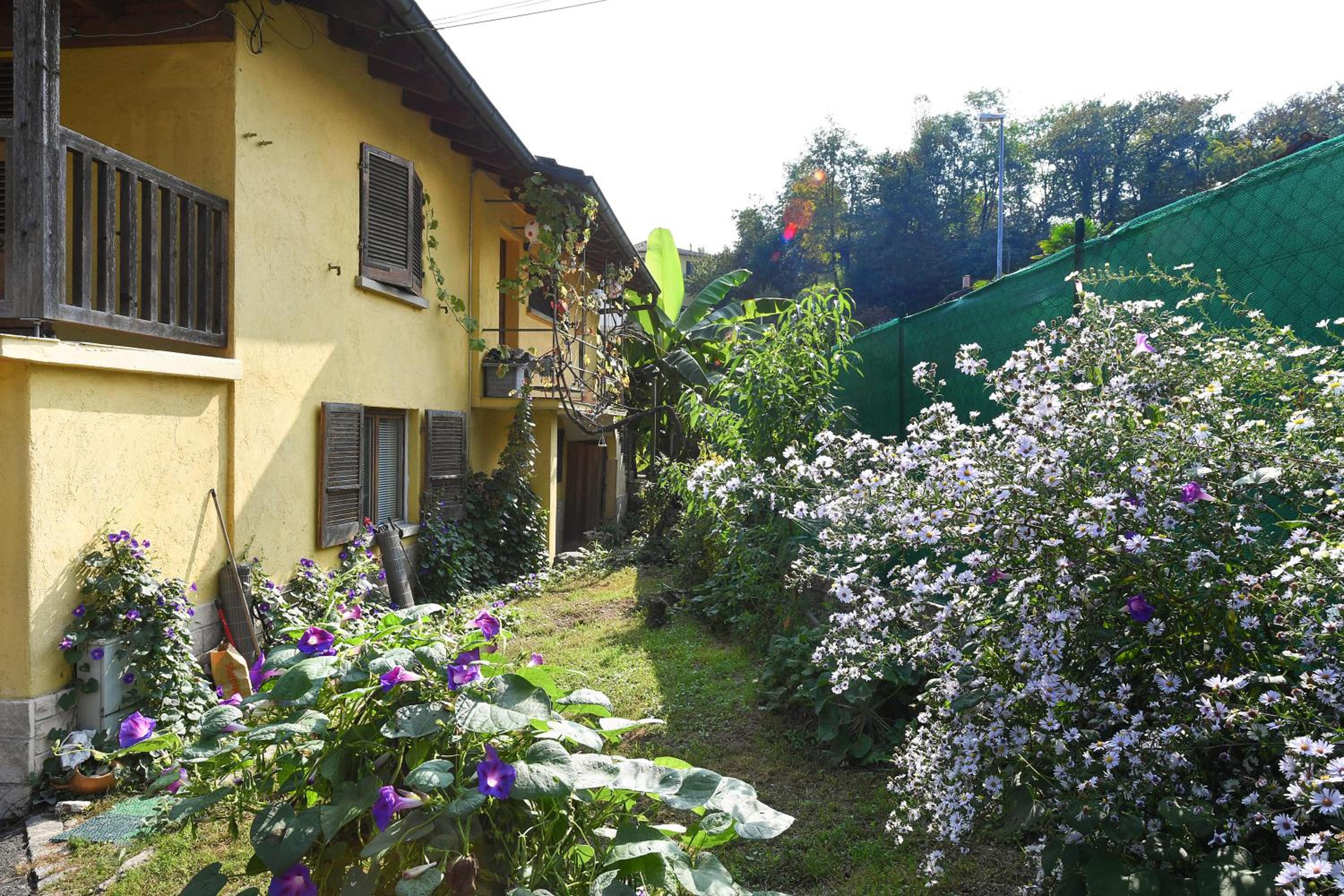 Petit Jardin - Happy Rentals