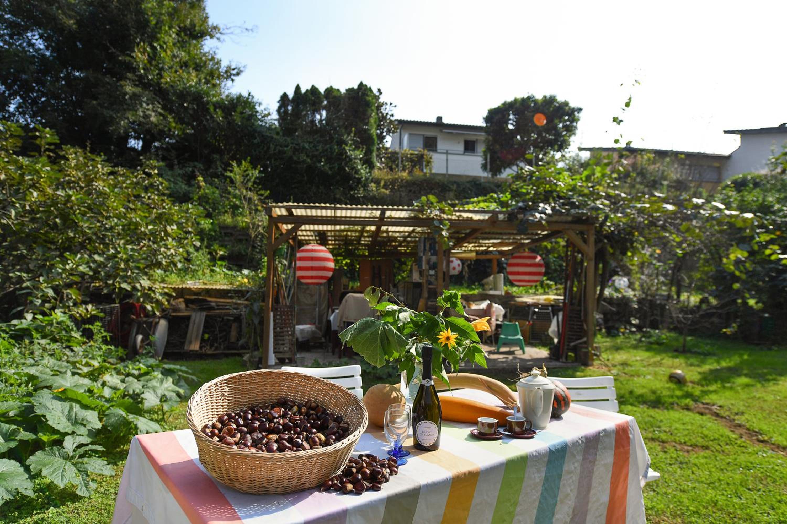 Petit Jardin - Happy Rentals