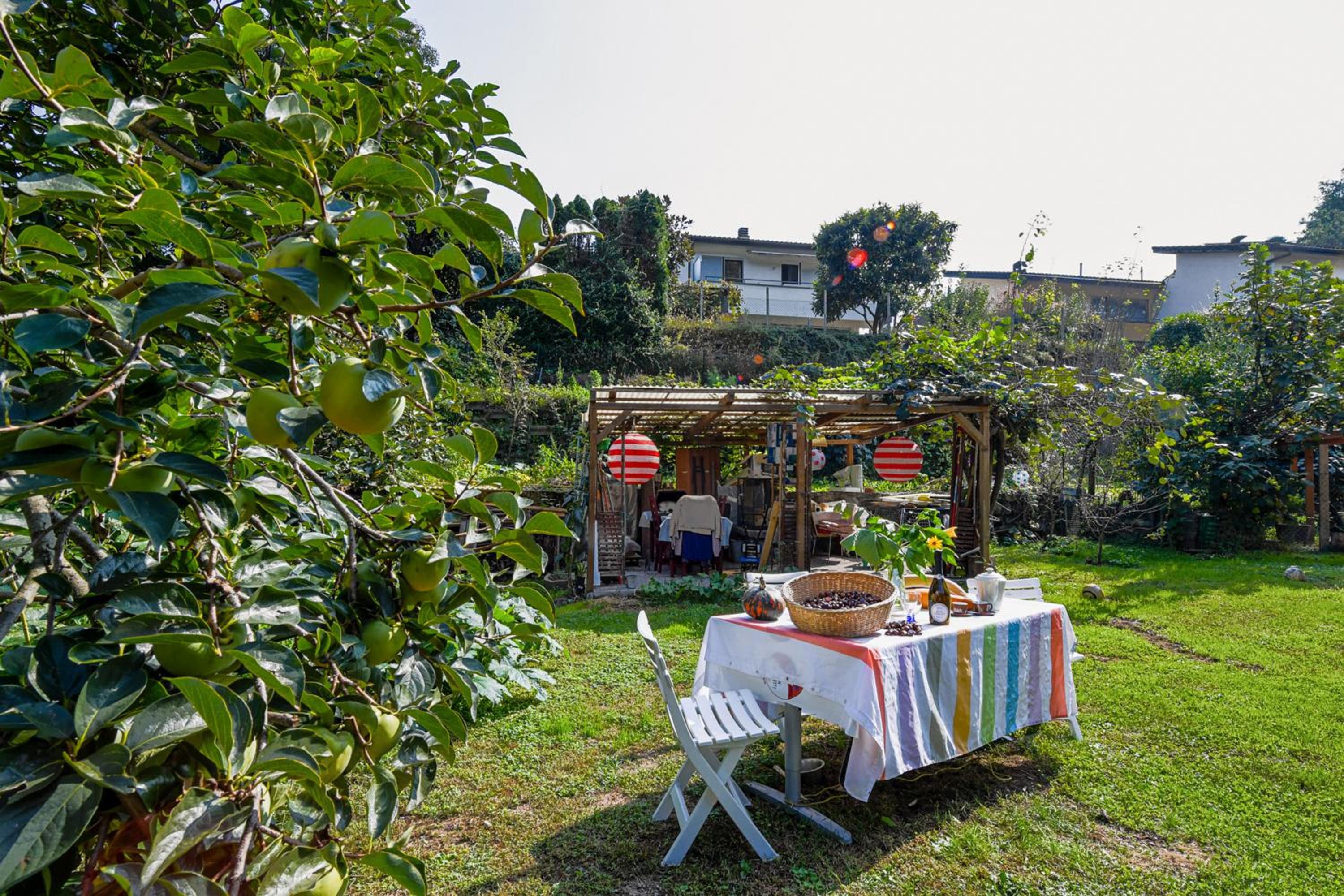 Petit Jardin - Happy Rentals