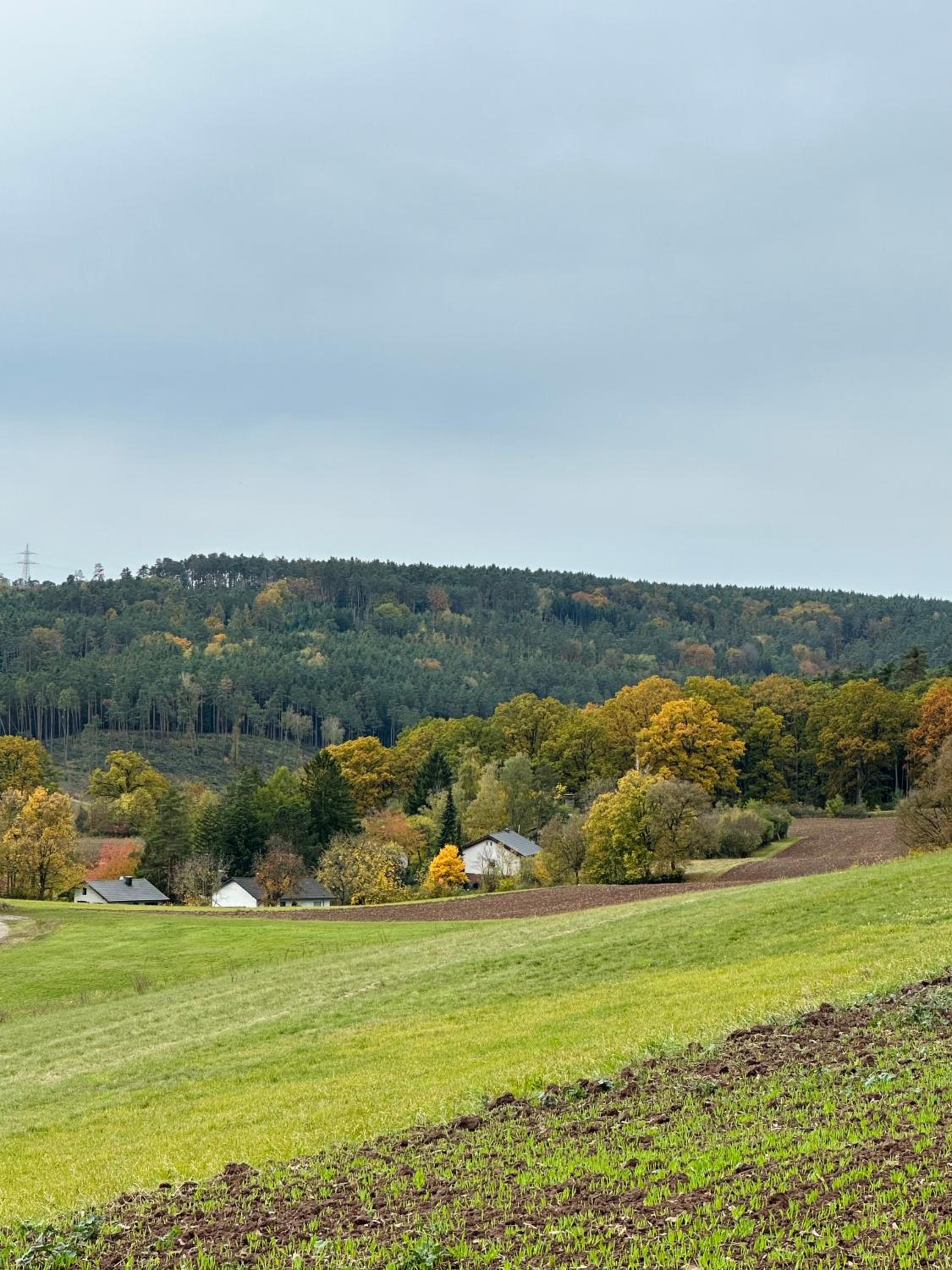 Ferienhaus Ella