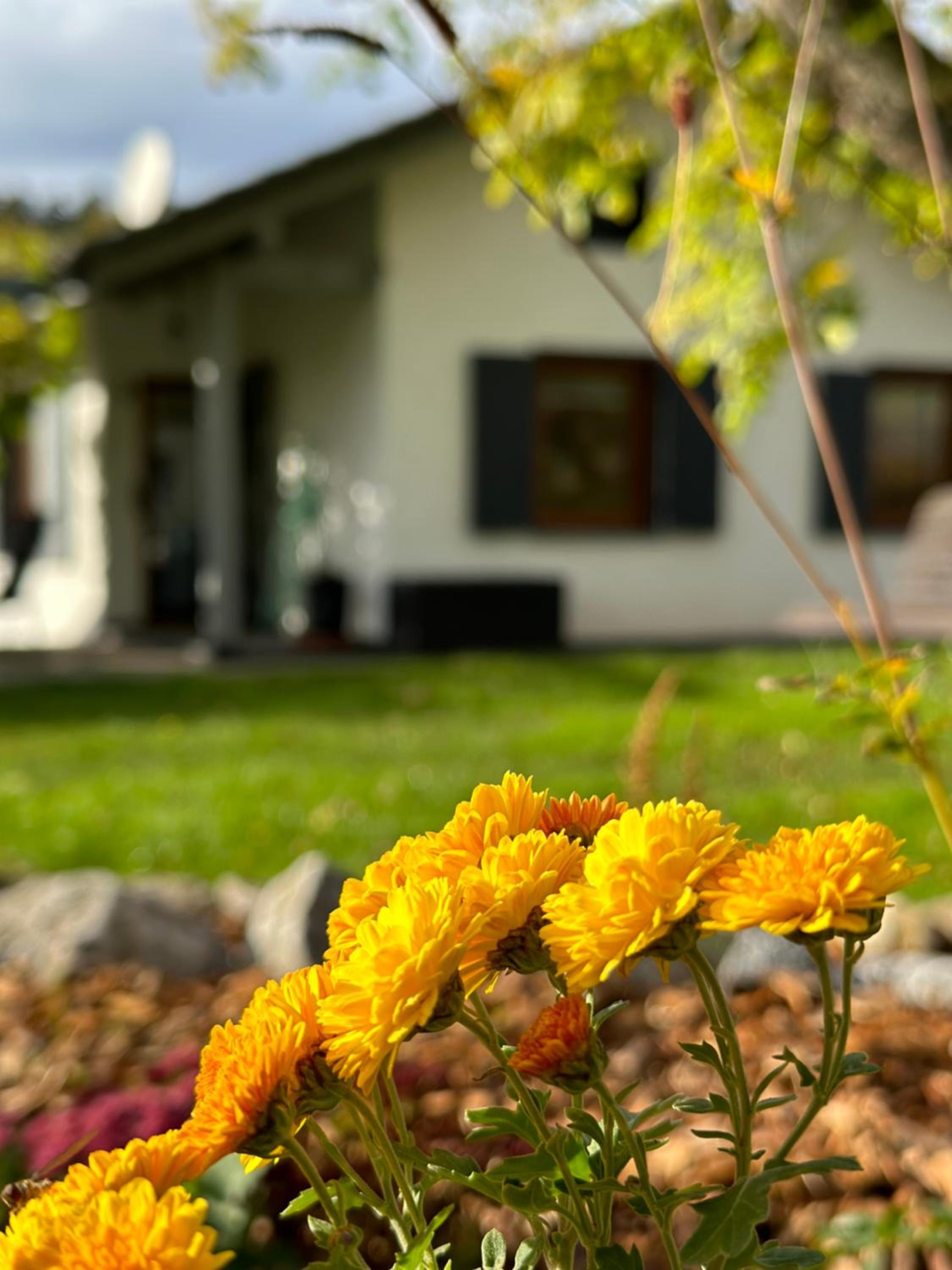 Ferienhaus Ella