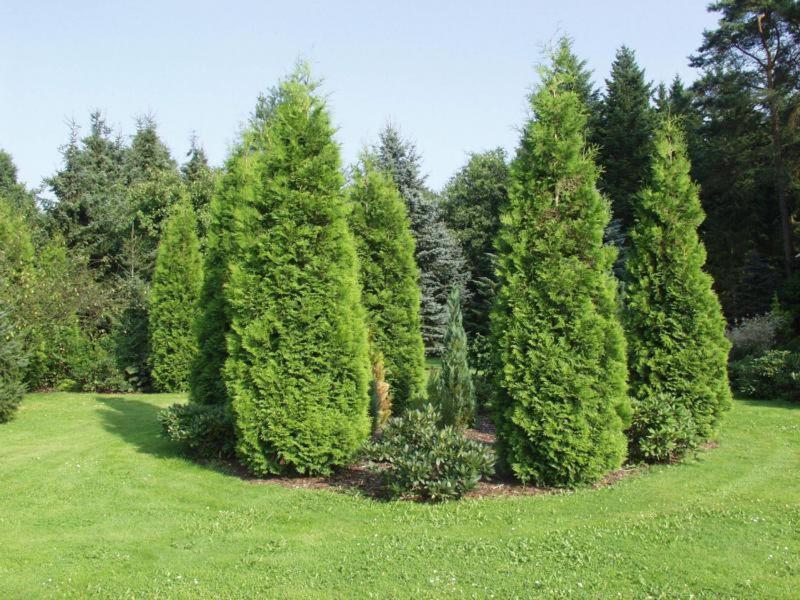 Ferienpark Leitzingen