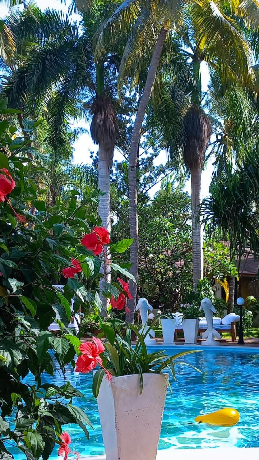 African House Resort