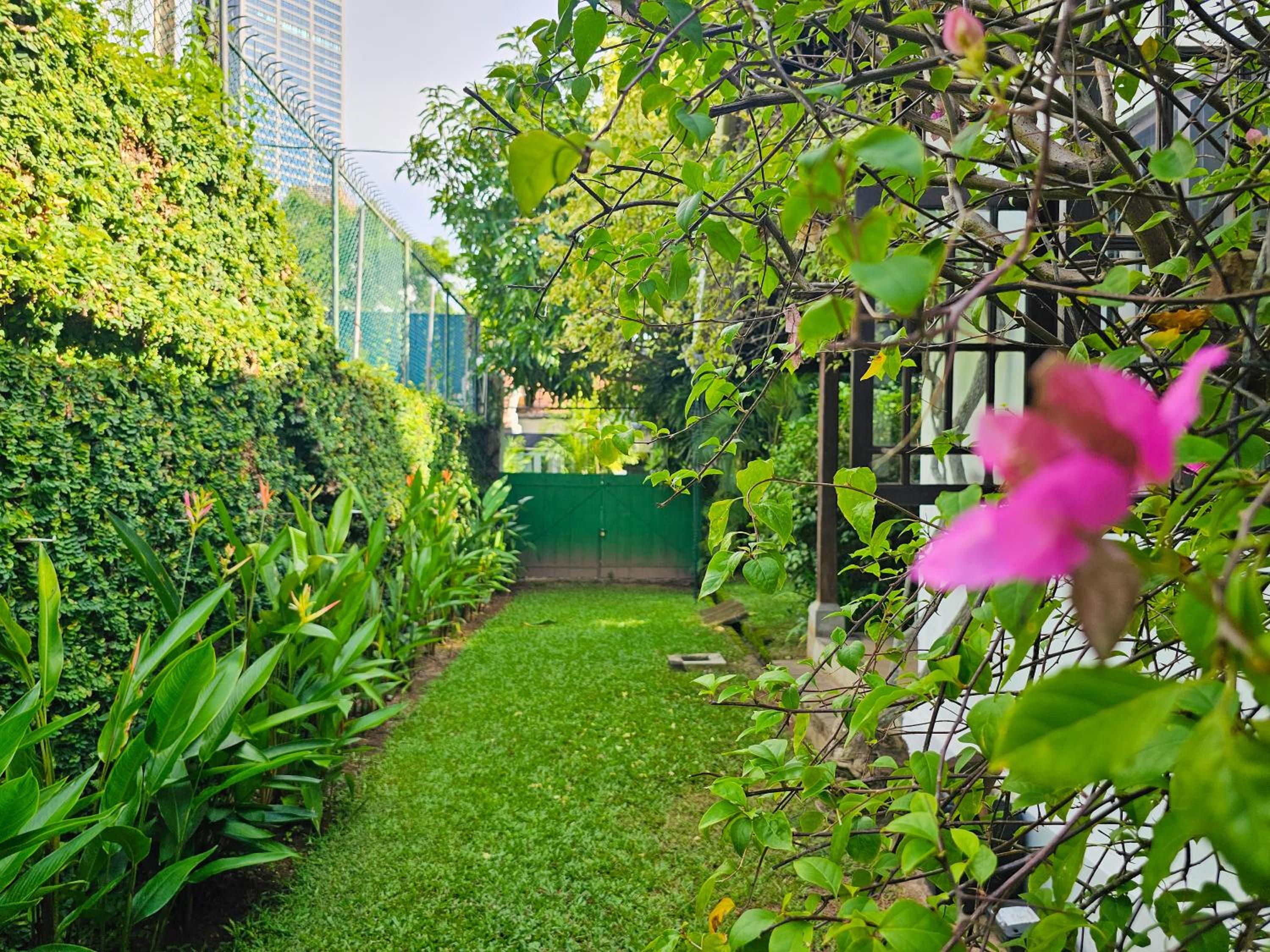 Havelock Bungalow - Live Fire Cooking - Enjoy 10 percent off at GINI Outdoor Kitchen