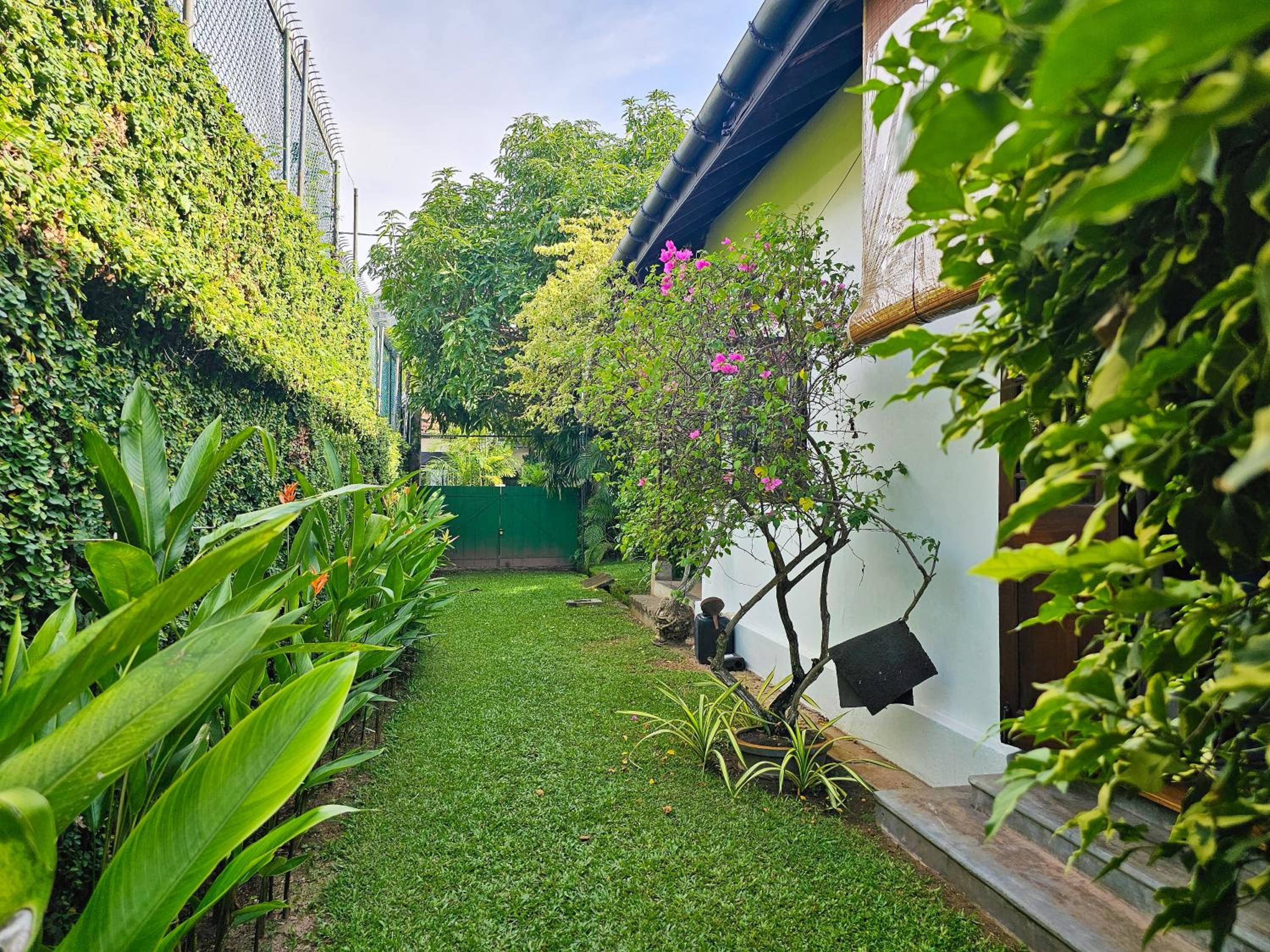 Havelock Bungalow - Live Fire Cooking - Enjoy 10 percent off at GINI Outdoor Kitchen