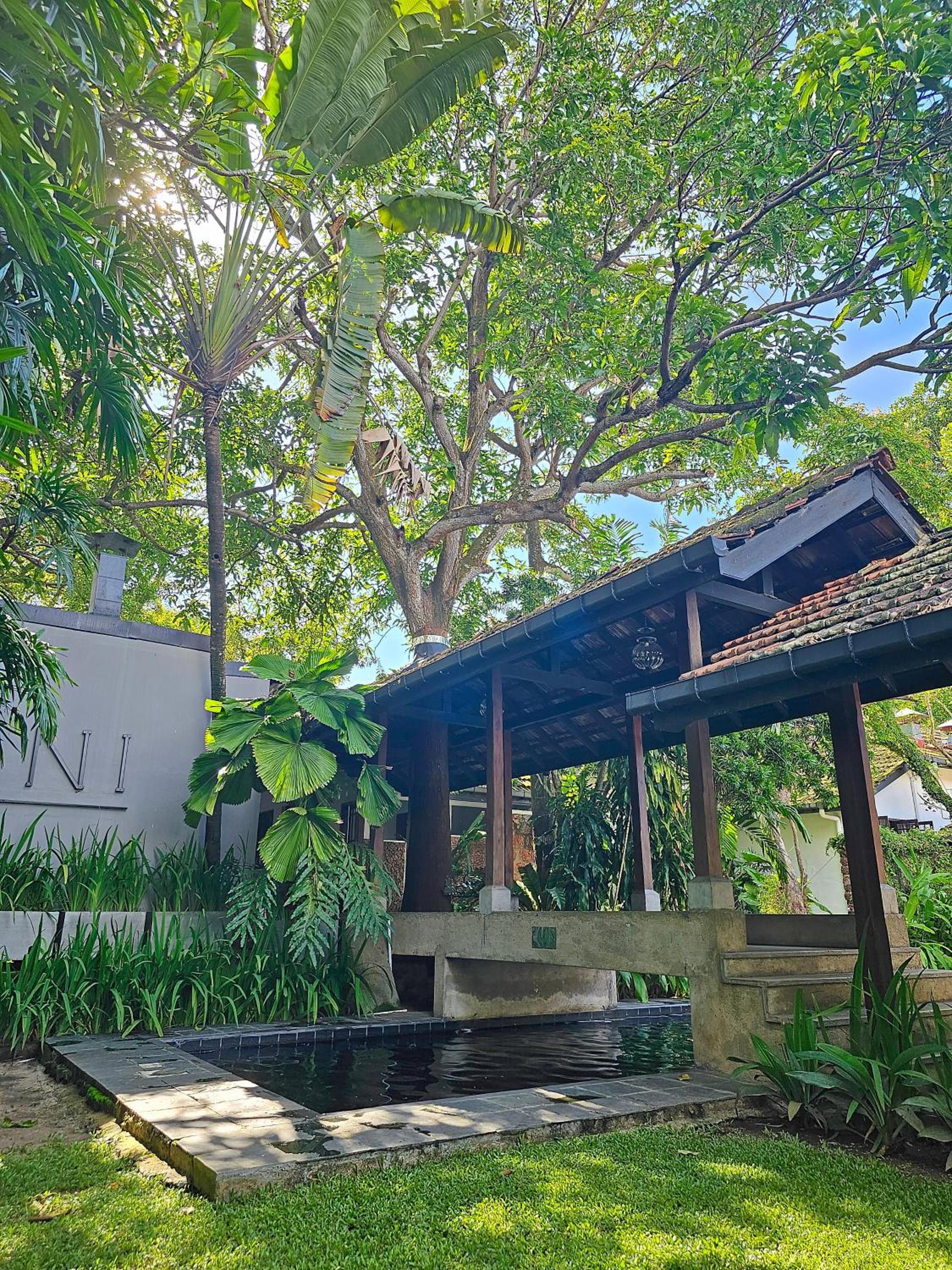 Havelock Bungalow - Live Fire Cooking - Enjoy 10 percent off at GINI Outdoor Kitchen