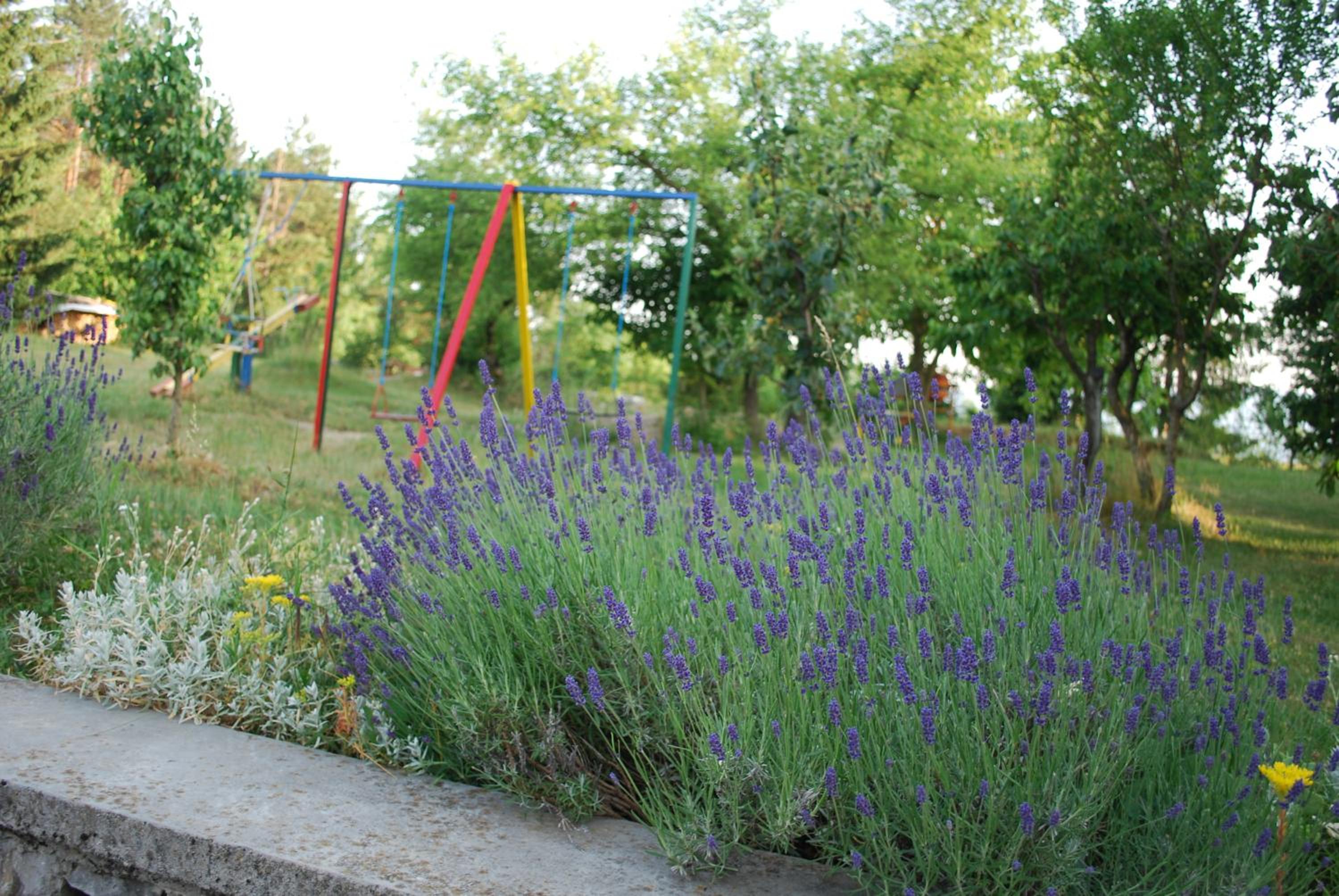 Photo 24