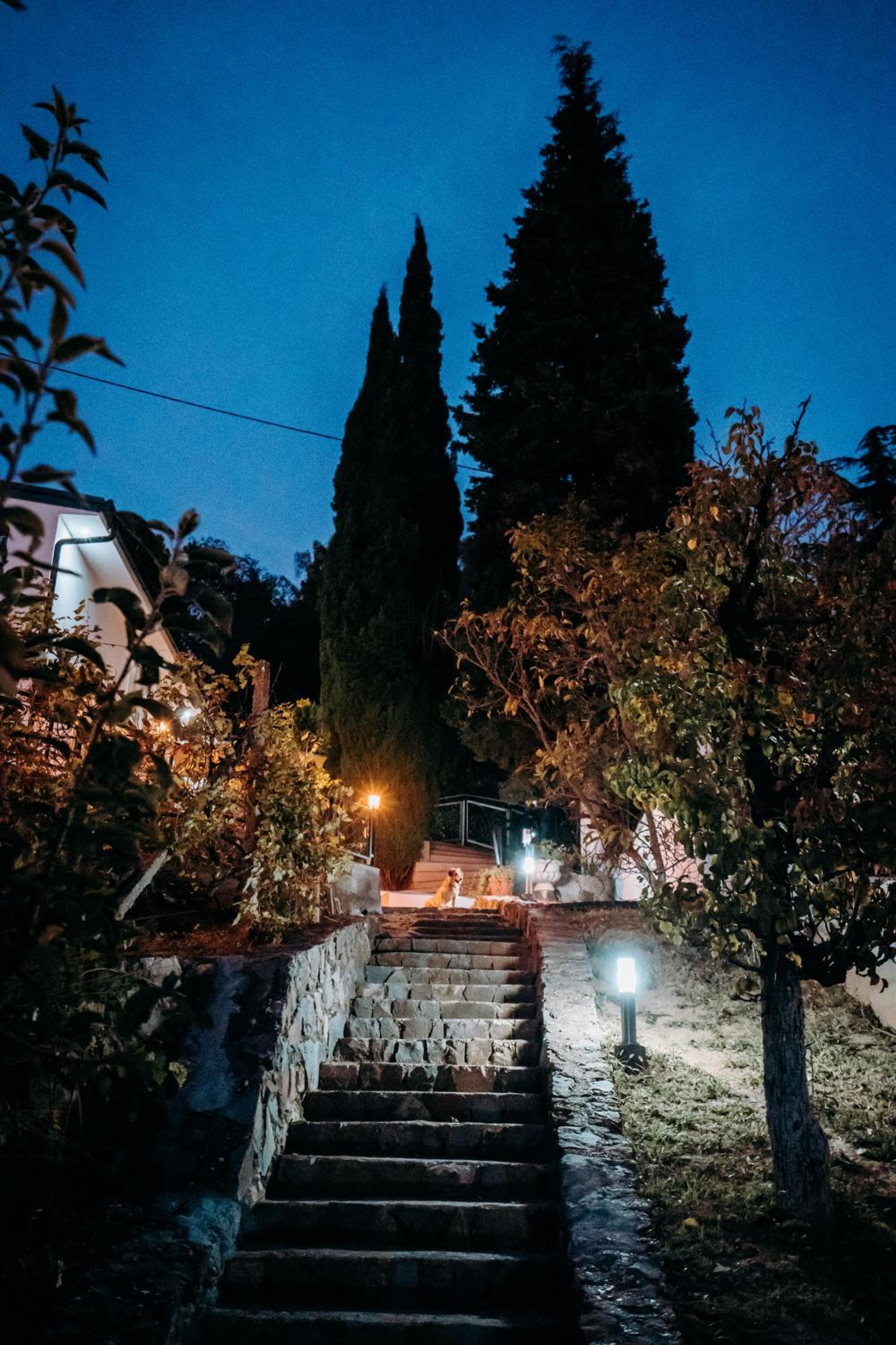Photo 25