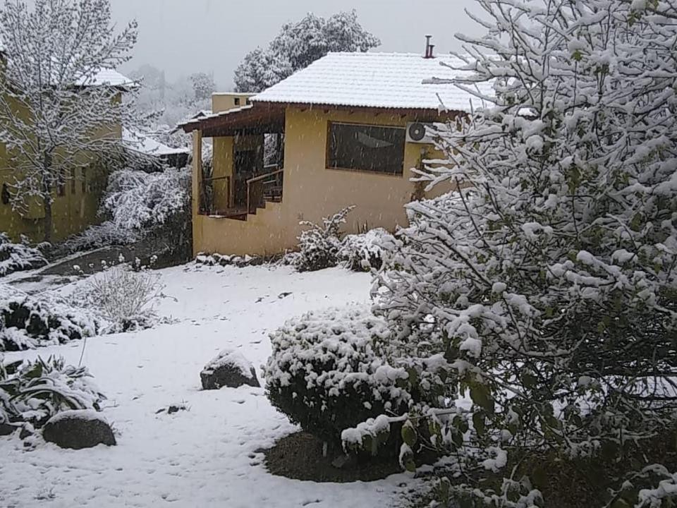 Cabañas Wairoa Haus