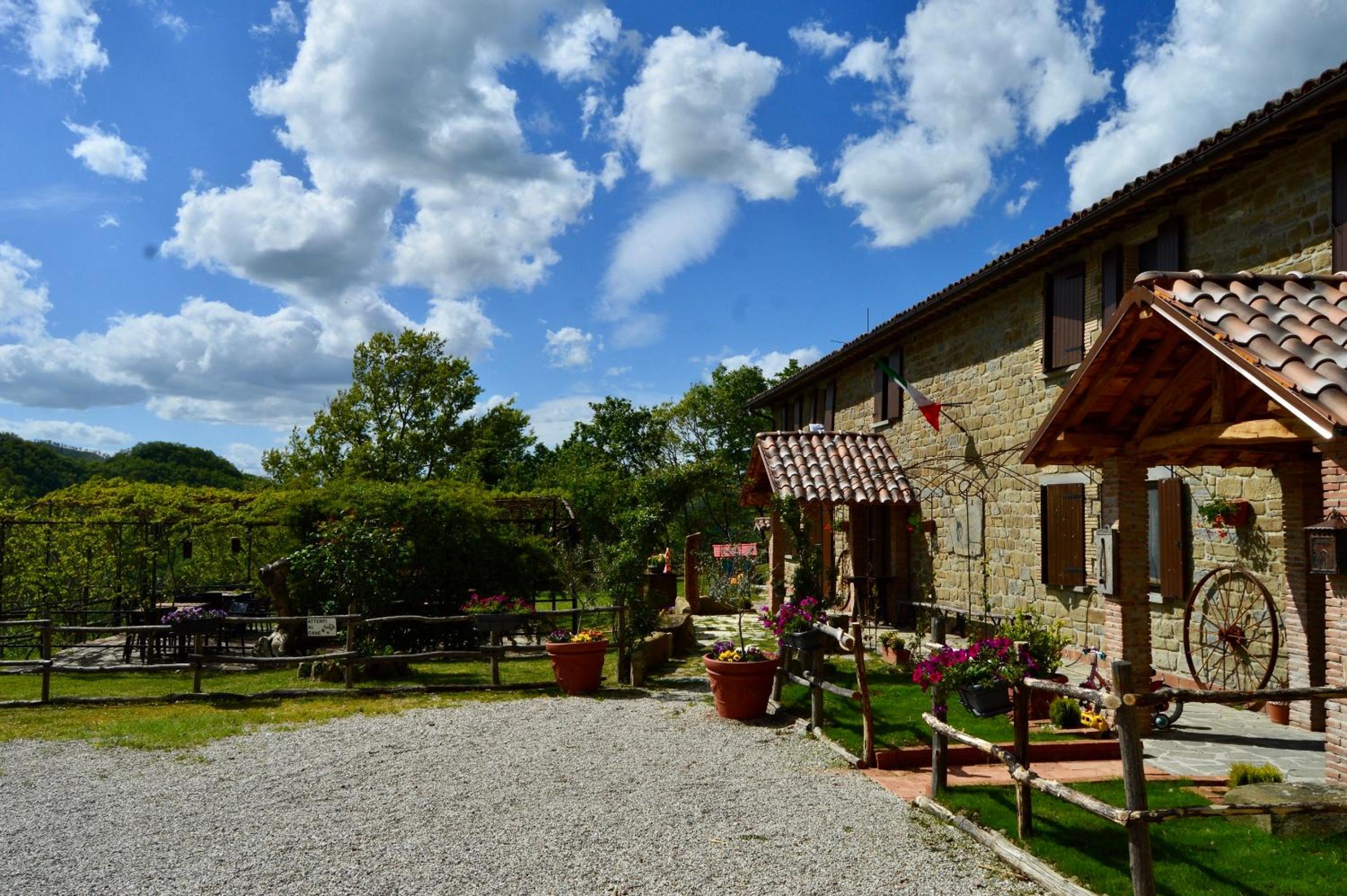 Agriturismo La Contessa Quarter Horse photo 5