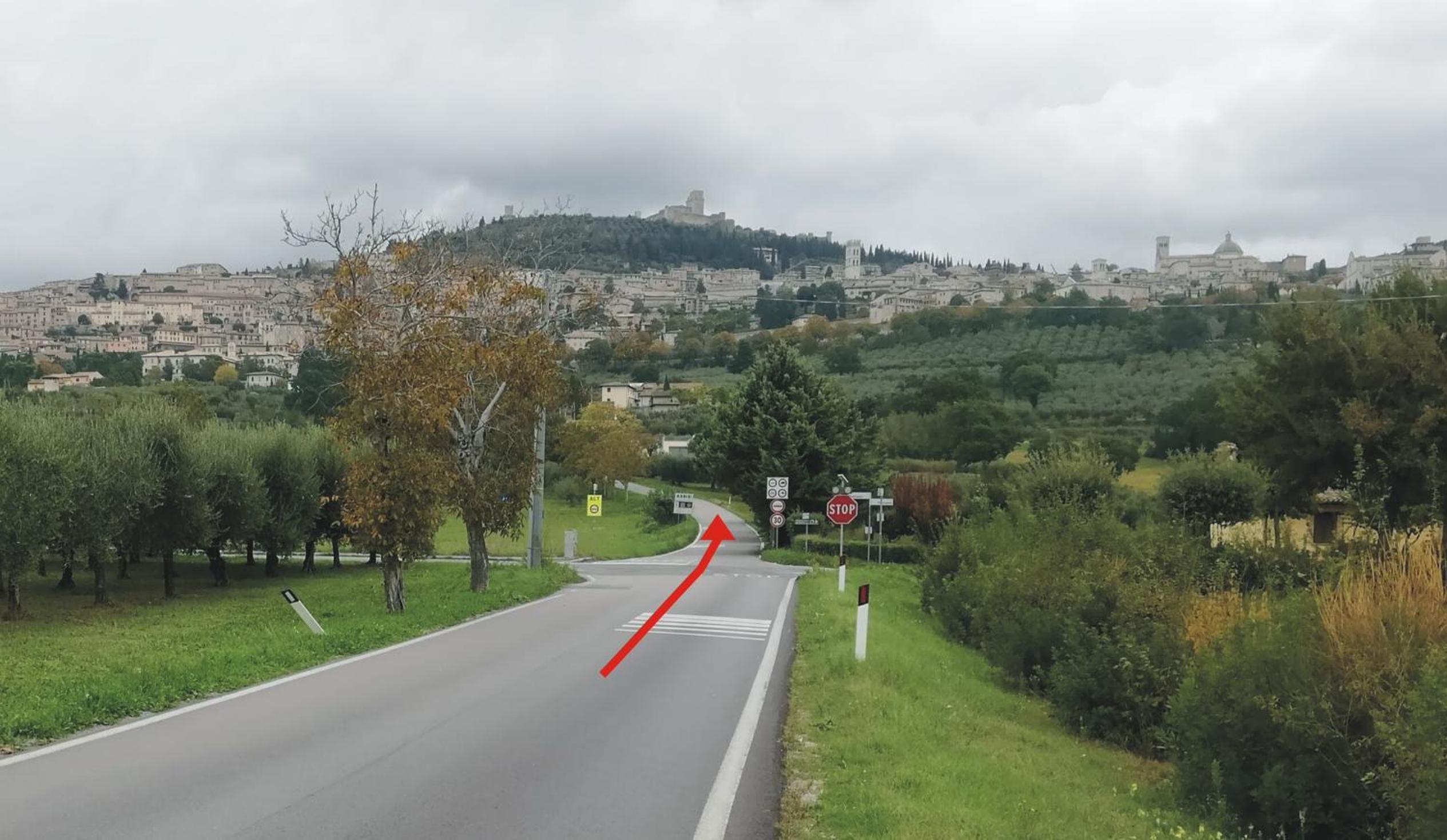 Appartamenti Cardinali