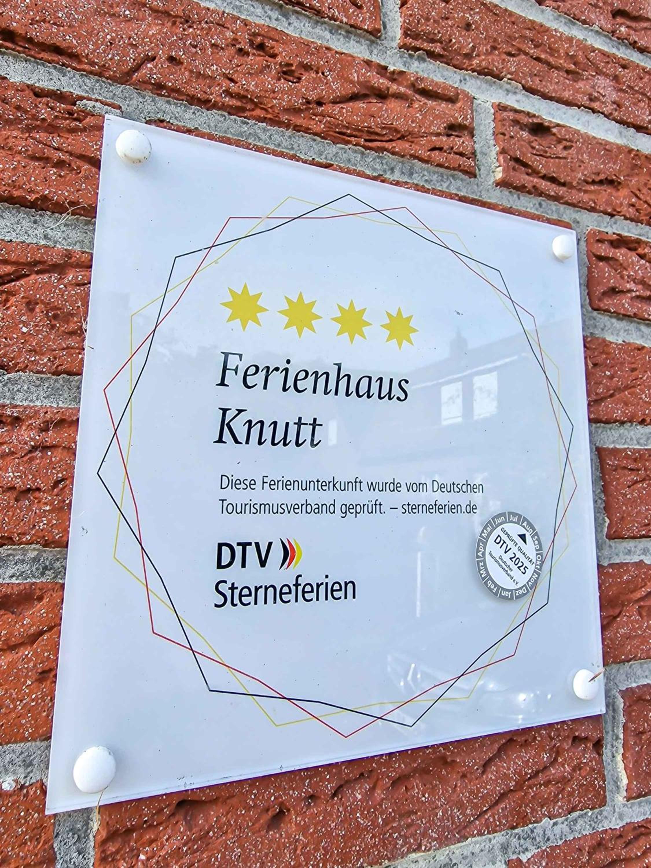Knutt 1