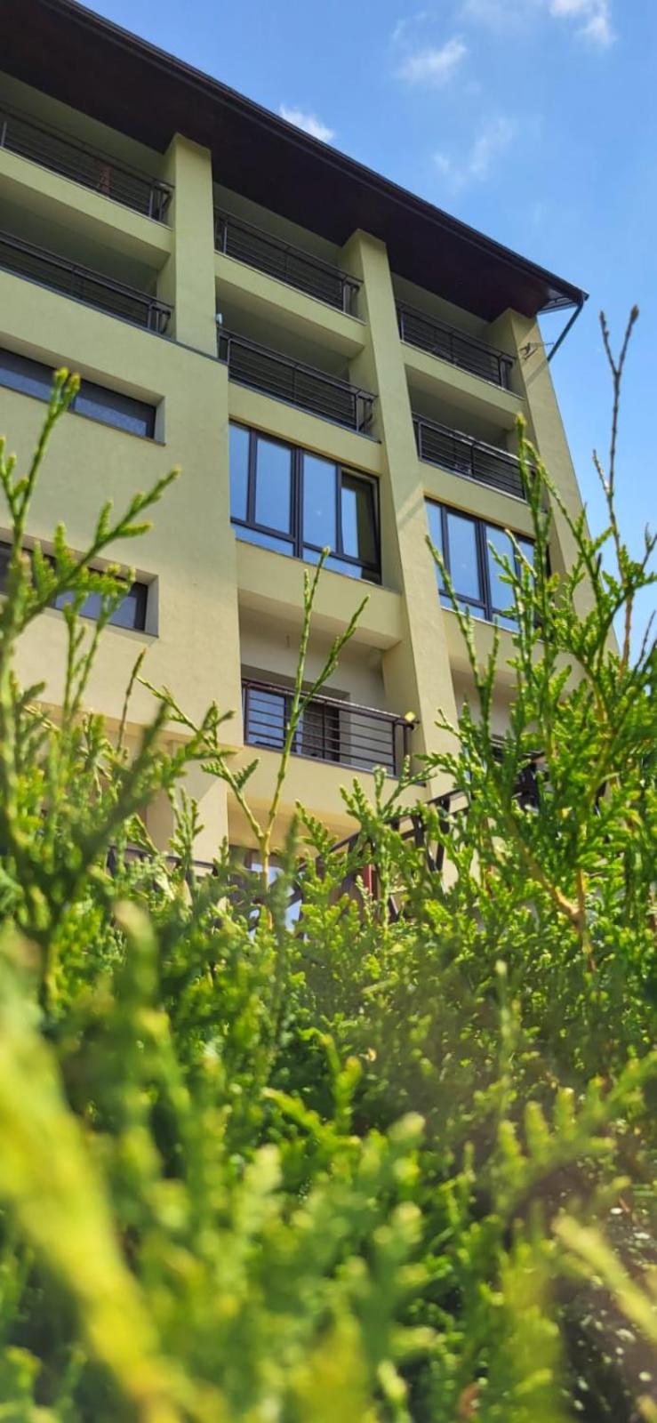Pension Valea Mariei view 4