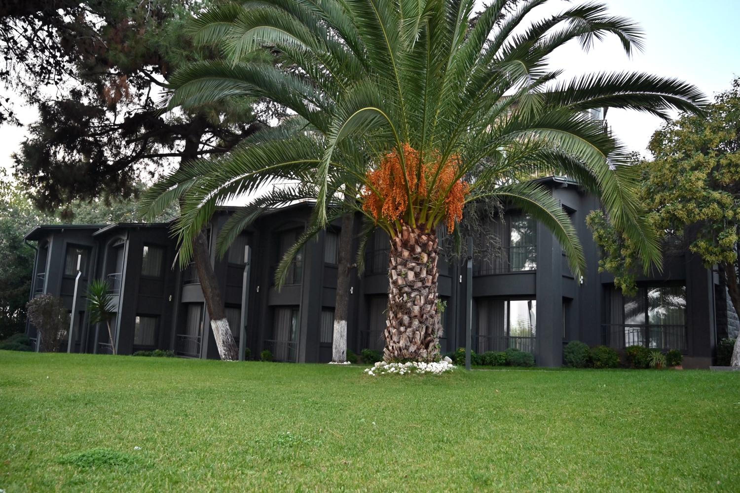 Denizatı Plus Otel - Image 51