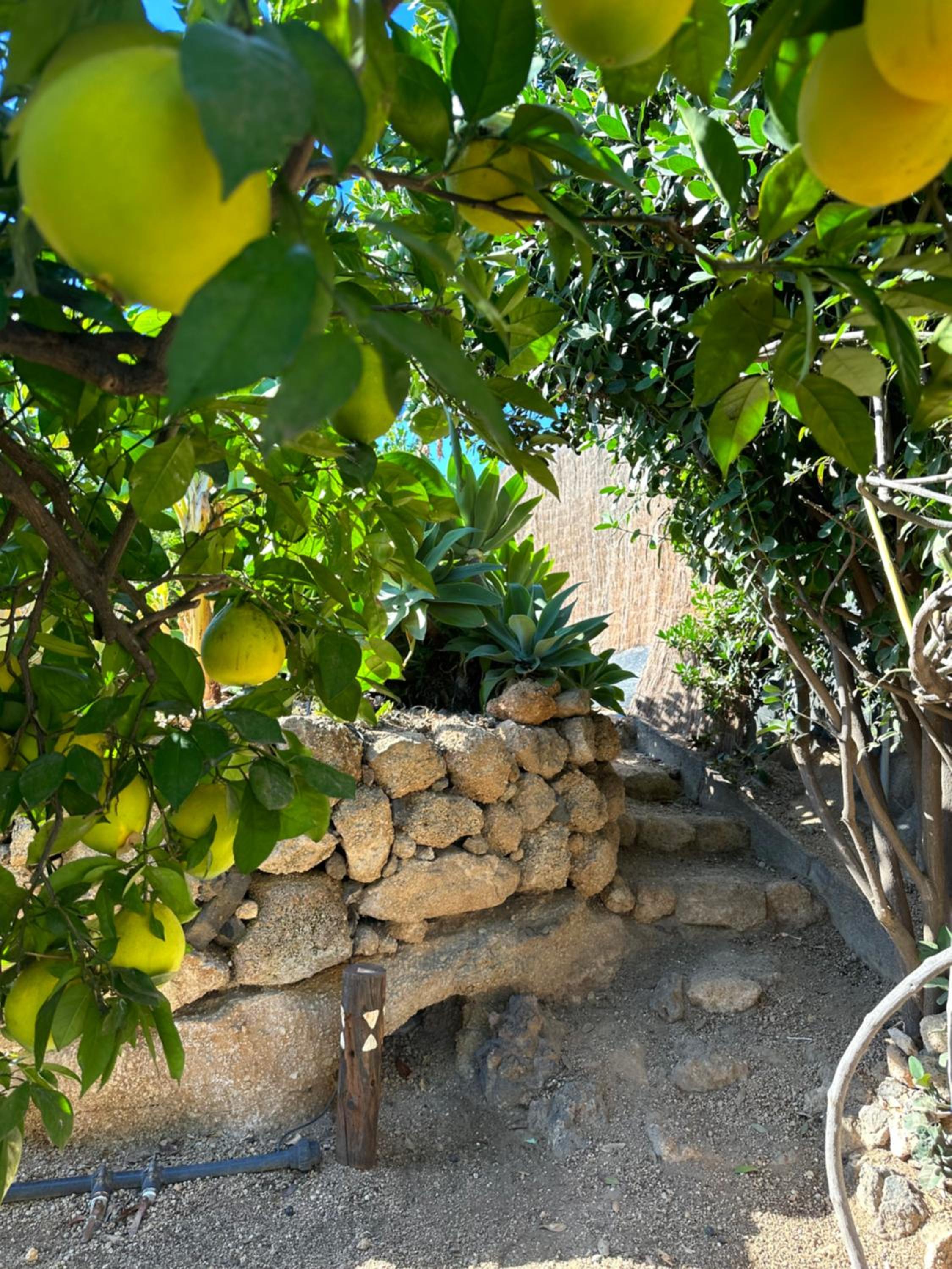 Afrikan Krisant Tenerife, Casa Rural Ecologica